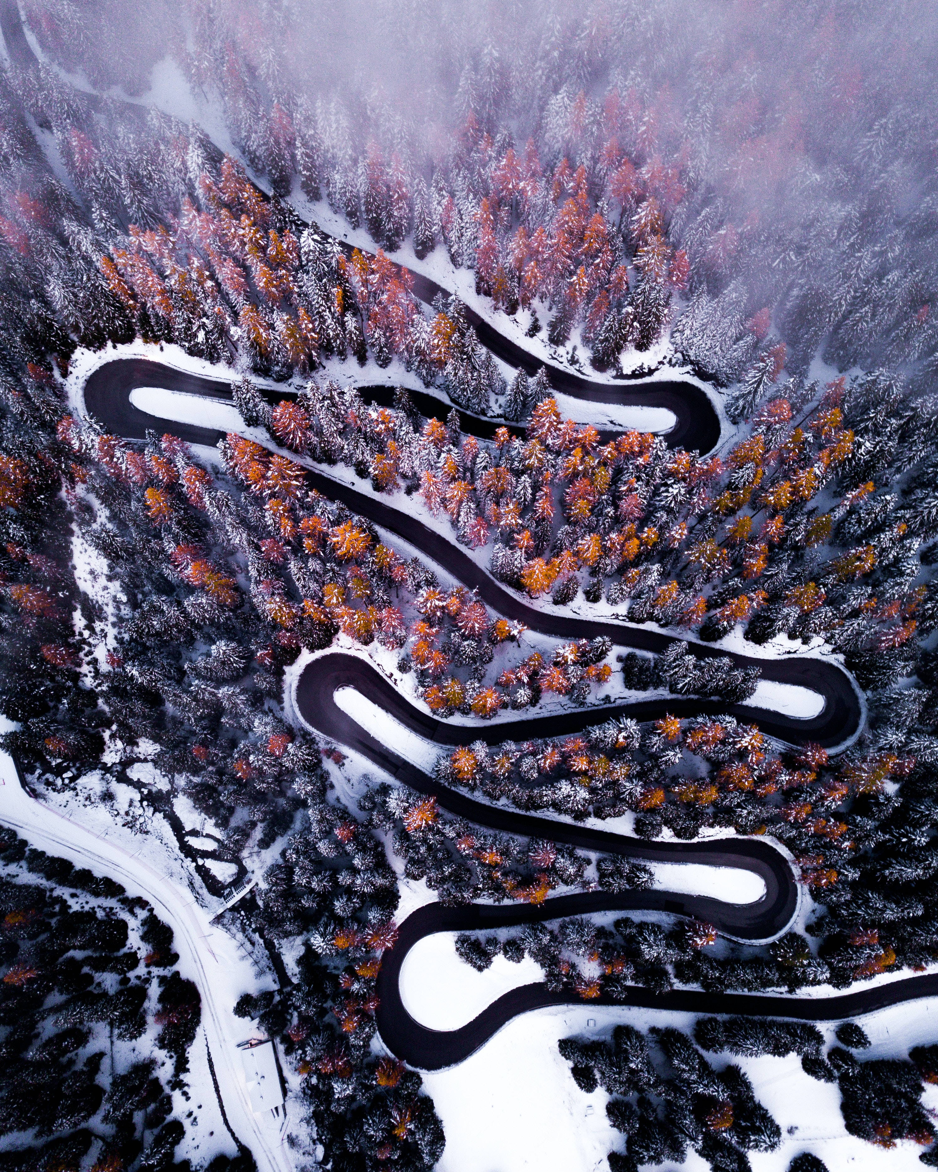 蛇形雪路 iPhone 解鎖畫面 壁紙 — 一條蜿蜒的道路穿過白雪覆蓋的森林，樹木在霧濛濛的天空下展現出鮮豔的秋色。