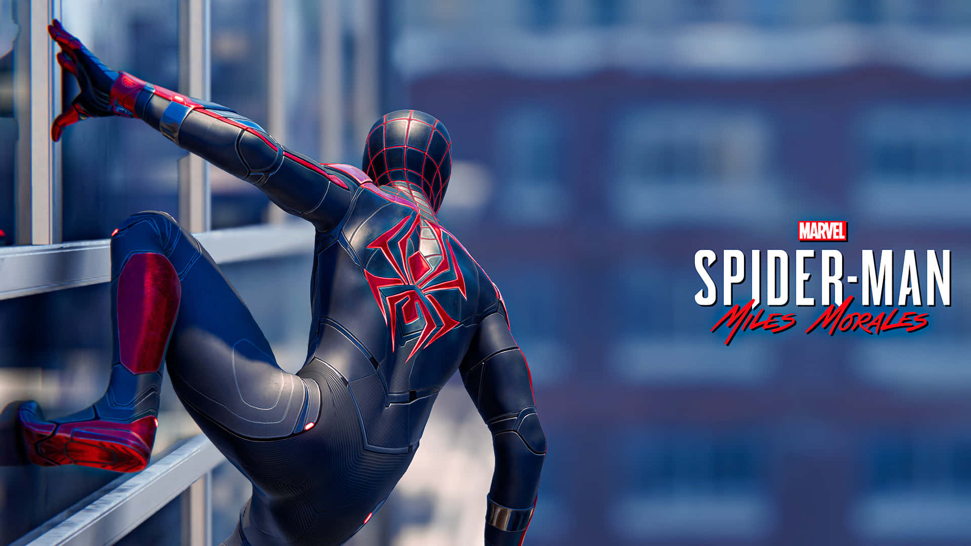 Miles Morales 動漫 桌布 壁紙 — 蜘蛛俠 麥爾斯·莫拉利斯身穿時尚的黑色和紅色戰衣，在模糊的城市背景下攀爬摩天大樓。