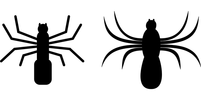 蜘蛛俠陰影姿態 壁紙