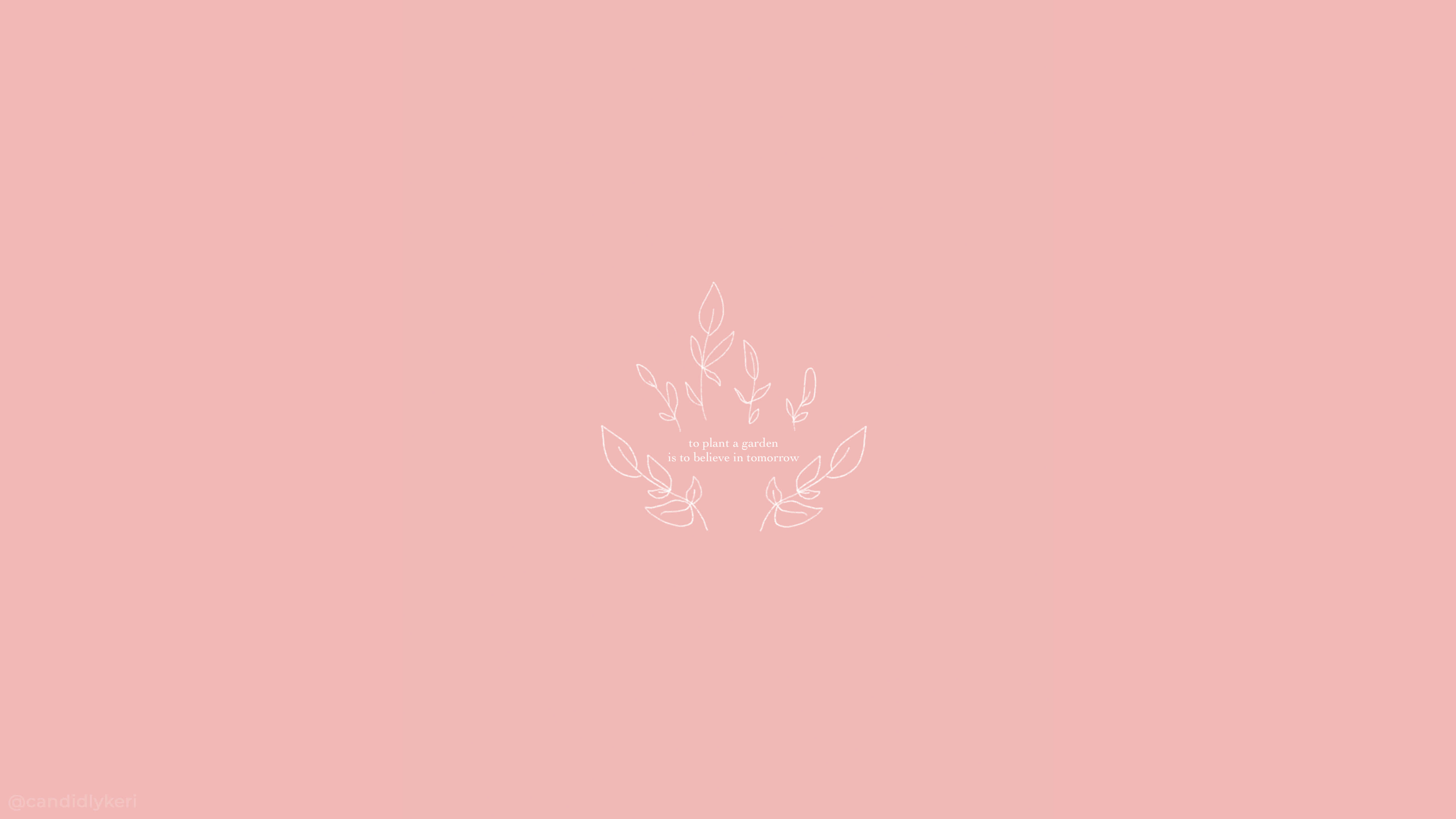 蜜桃美學背景 壁紙