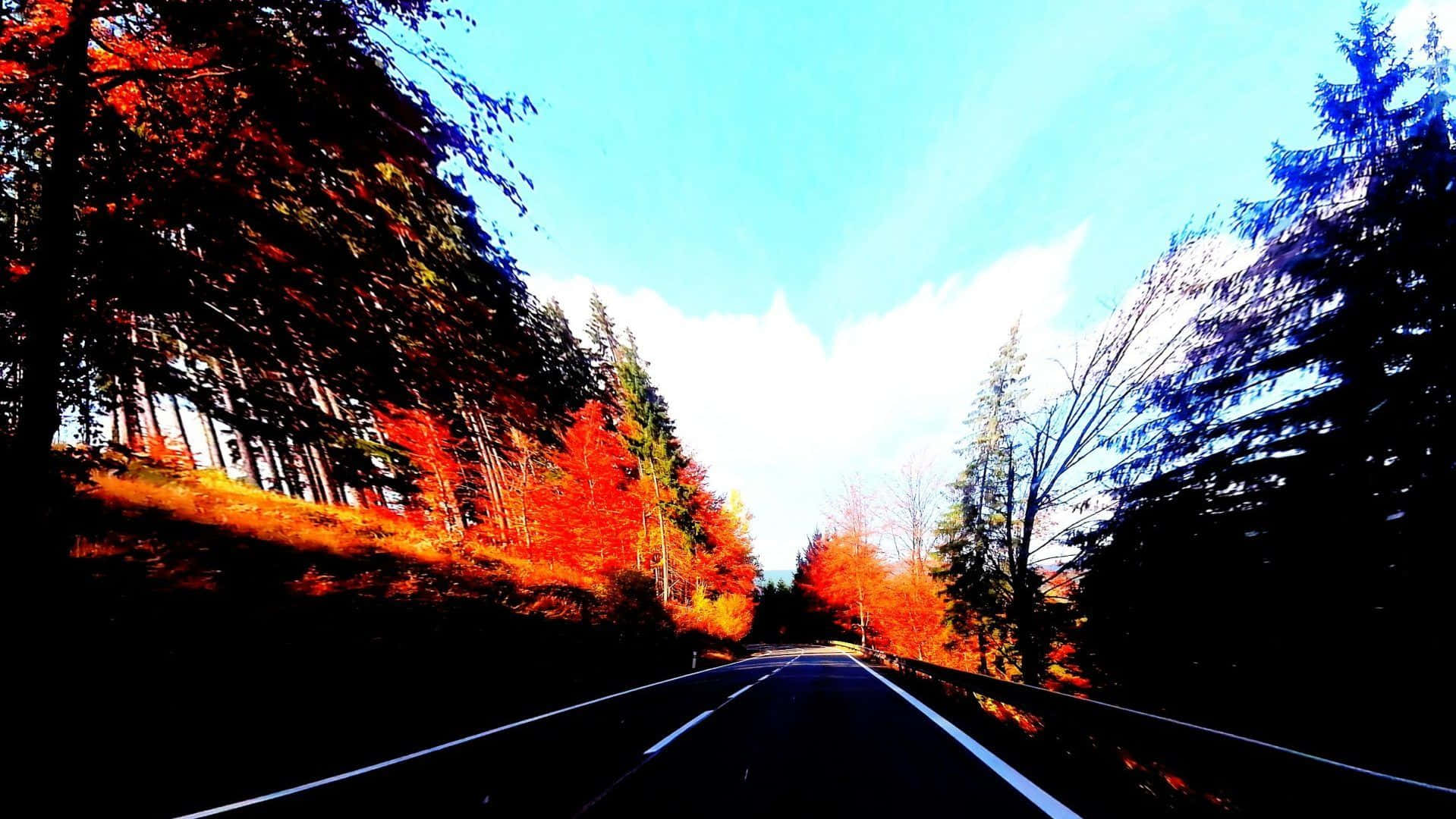 一條風景優美的道路，兩旁是秋樹，在清澈的藍天下。