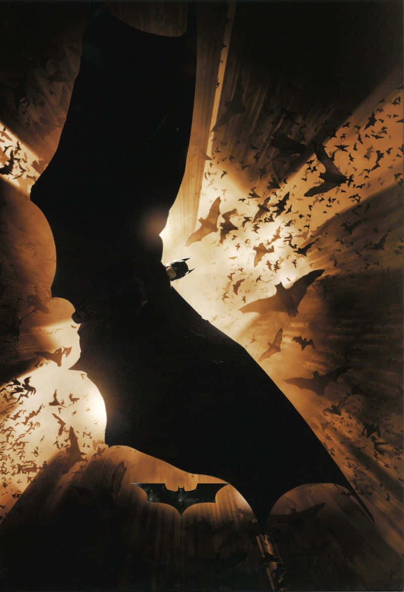 Batman Begins 桌布 壁紙 — 蝙蝠俠的剪影在洞穴中翱翔，蝙蝠在背後的金色光芒中成群飛舞。