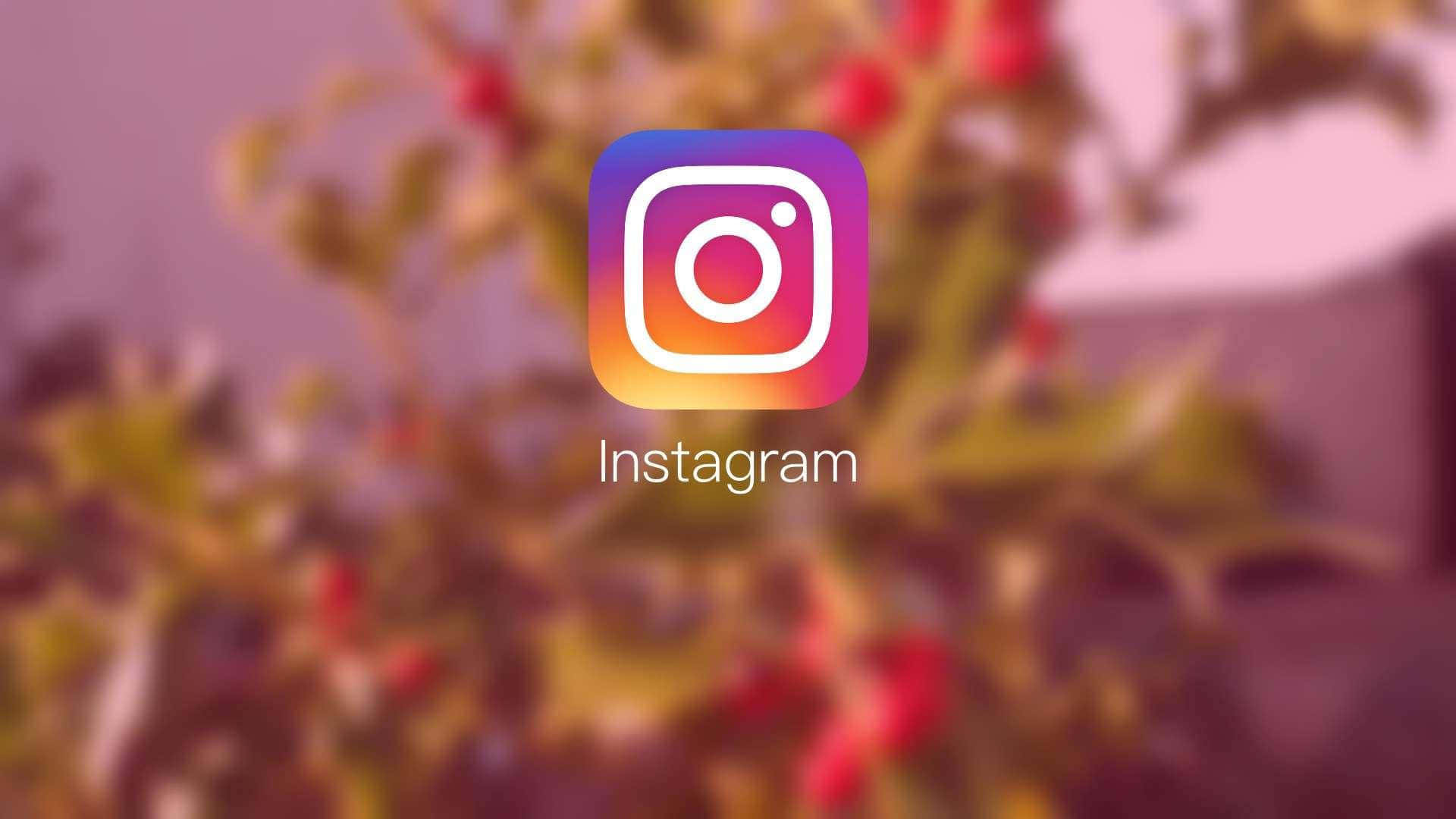 Instagram 應用程式標誌，背景有模糊的秋葉。