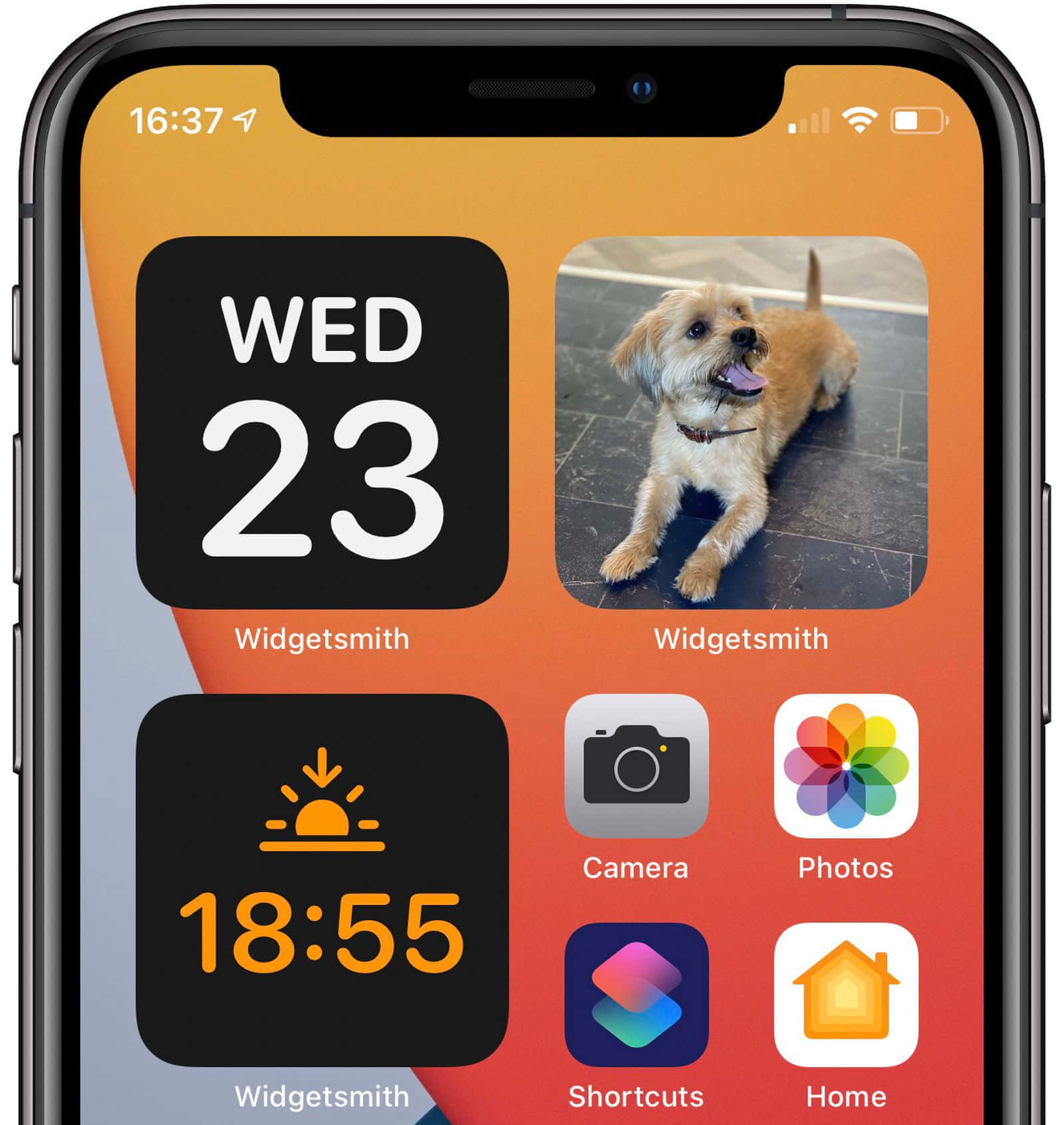 iPhone 主屏幕，帶有小工具和一張快樂小狗的照片。 — 主螢幕 壁紙