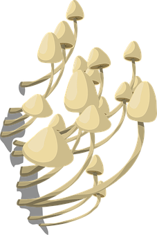 蠔菇簇向量圖 壁紙