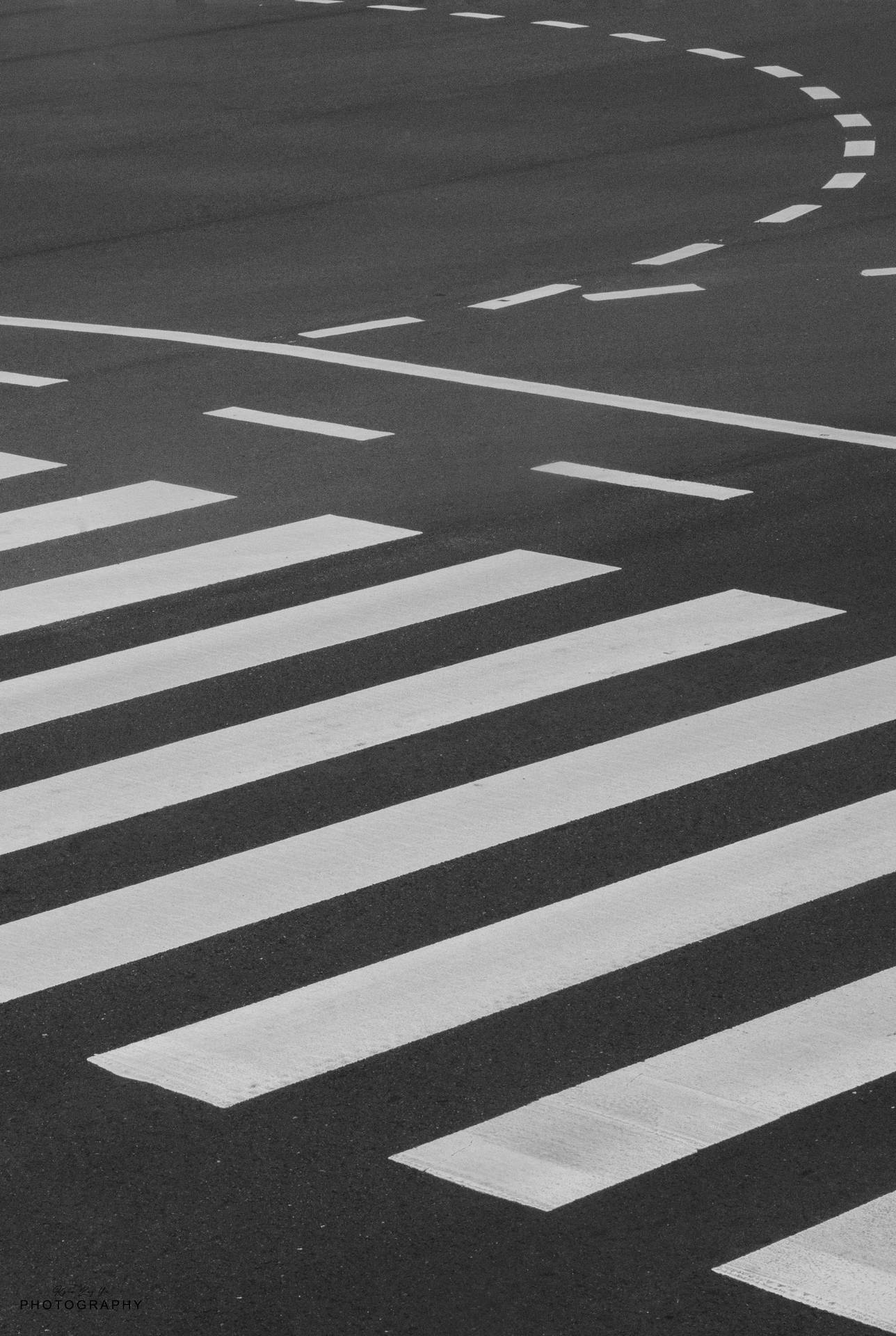 瀝青路面上斑馬線和道路標記的特寫。