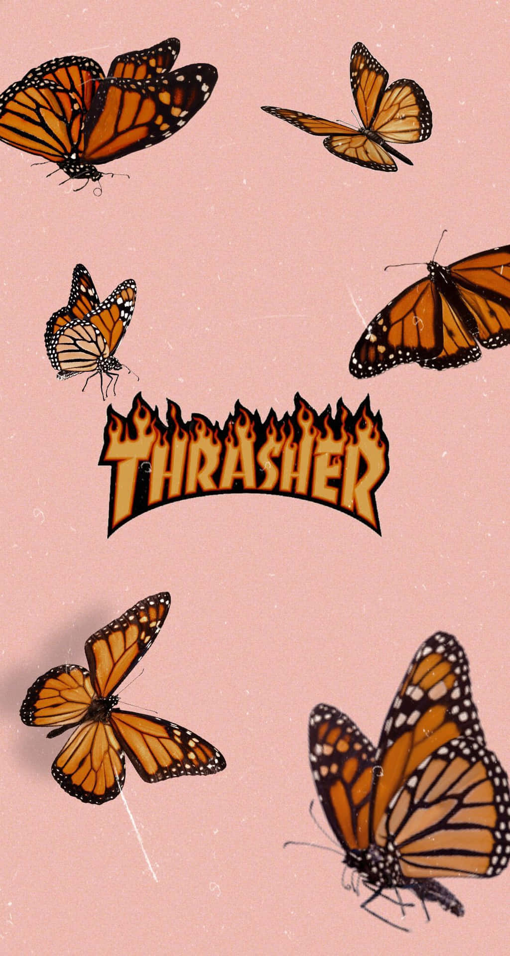 帝王斑蝶在粉紅色背景上圍繞著火焰般的 Thrasher 標誌飛翔。