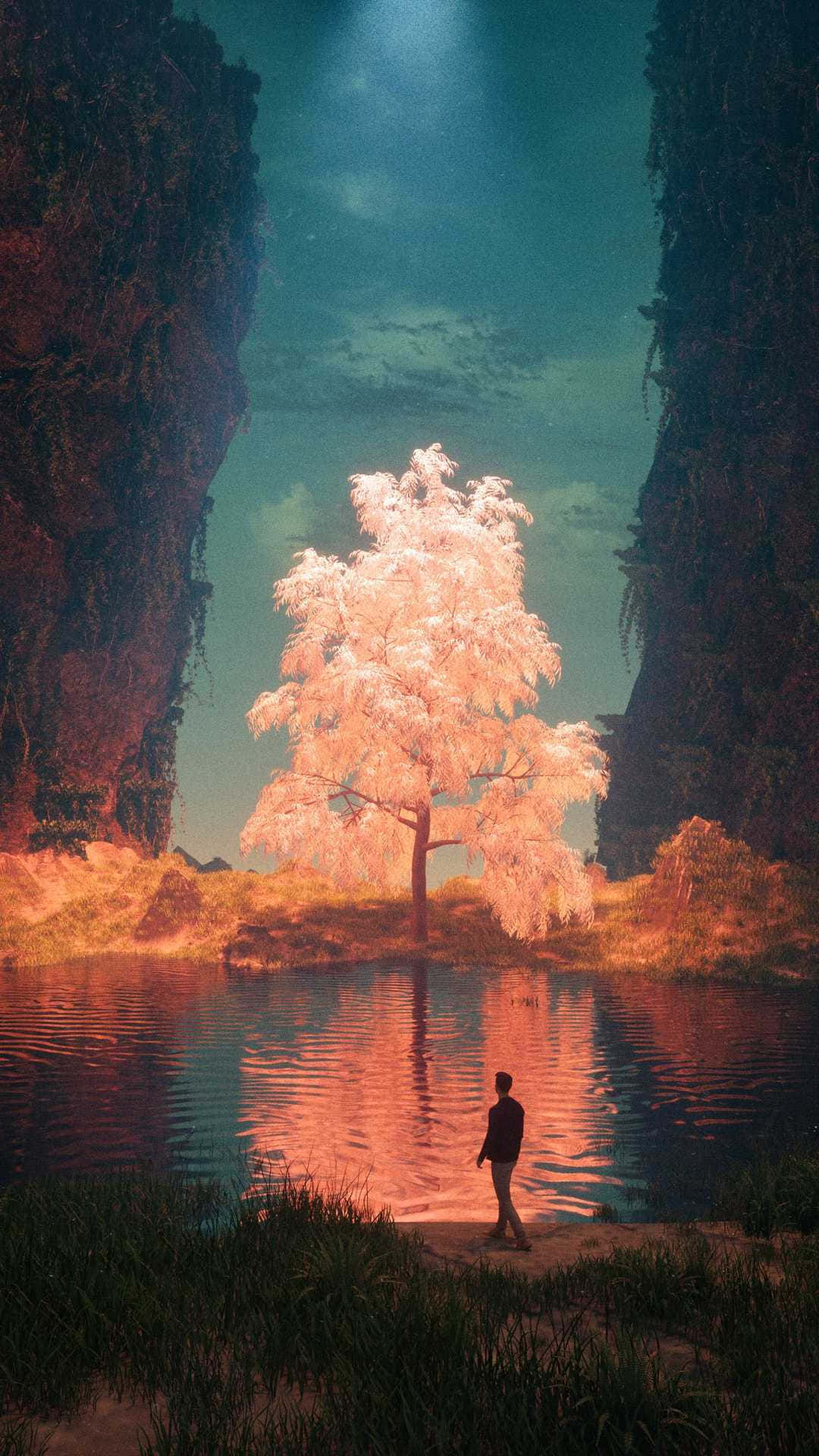 被寧靜水域環繞的魔法樹 壁紙 — 一個孤獨的身影站在峽谷湖中一棵發光的粉紅色樹旁，上方有一束天堂之光。