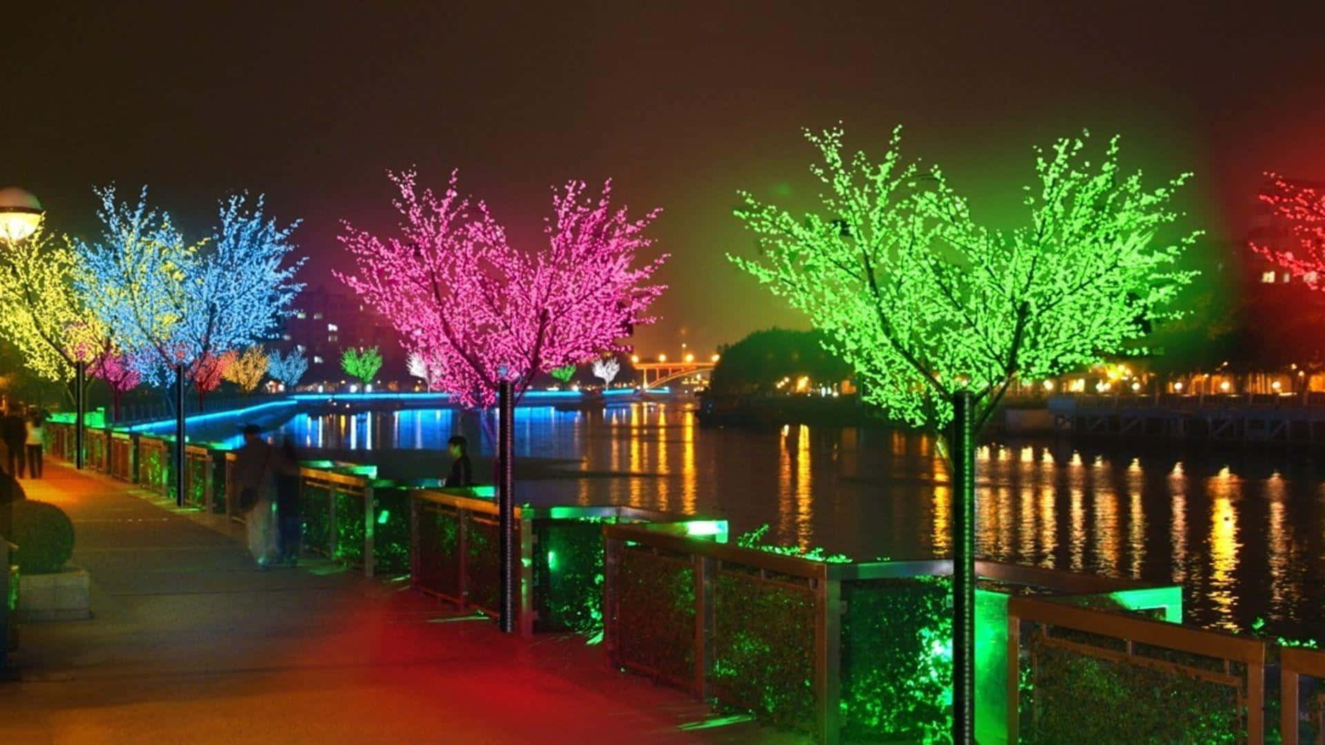 色彩繽紛的燈飾樹木排列在河邊步道，夜晚在水中有倒影。