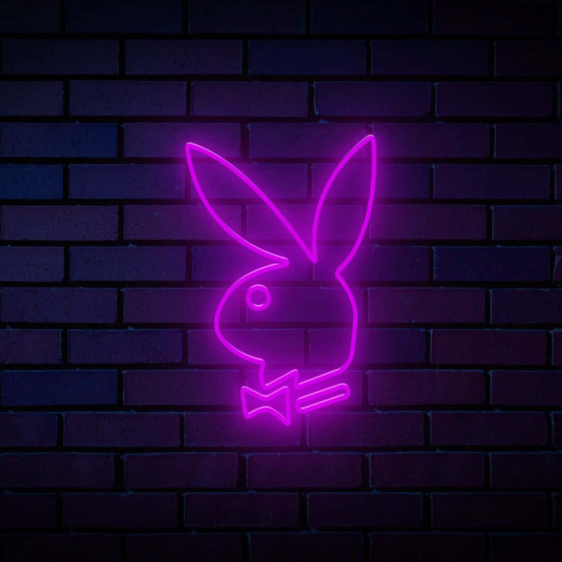 夜晚黑暗磚牆上的紫色霓虹燈Playboy兔子標誌。