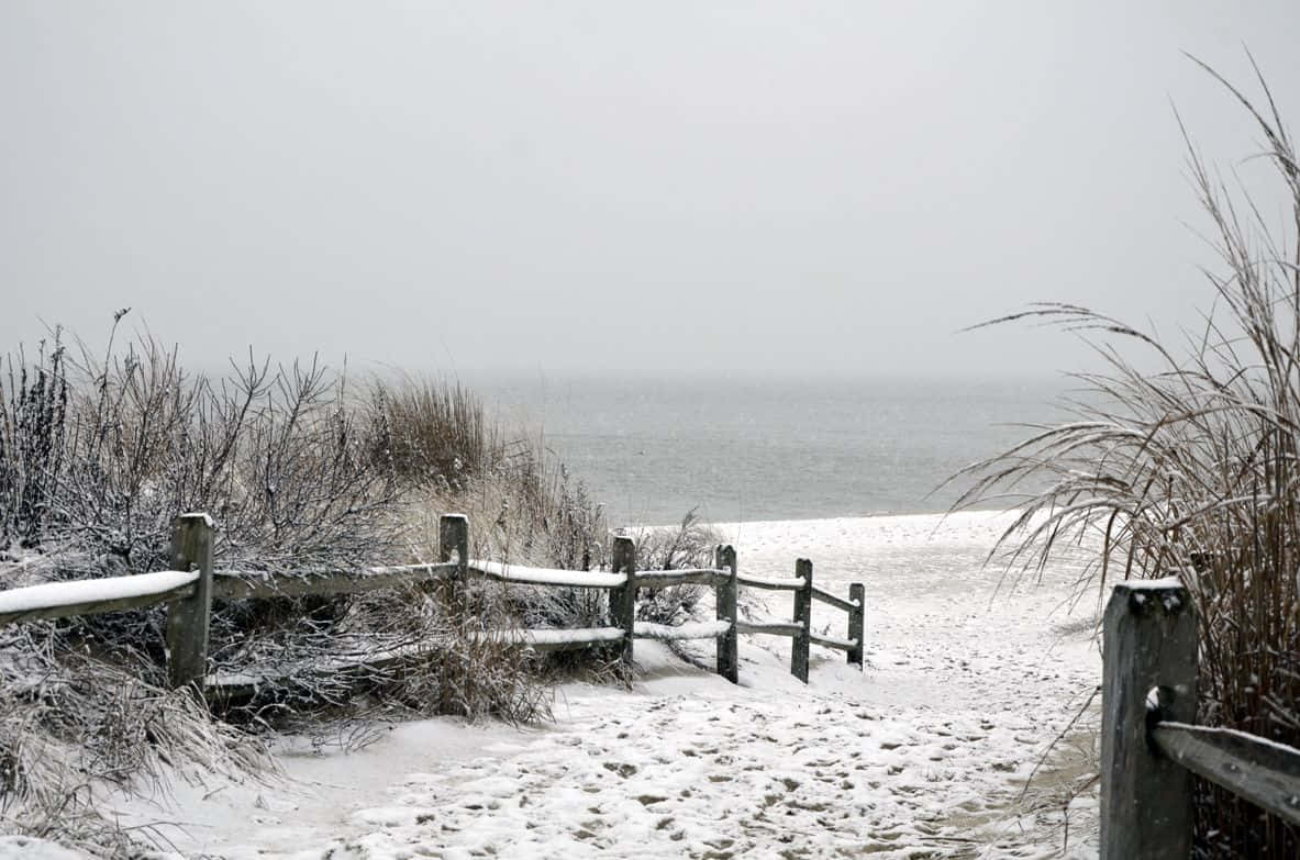 Winter Beach 桌布 壁紙 — 被雪覆蓋的木柵欄通向結冰的海灘，在陰沉的冬日天空下，海洋籠罩在薄霧中。