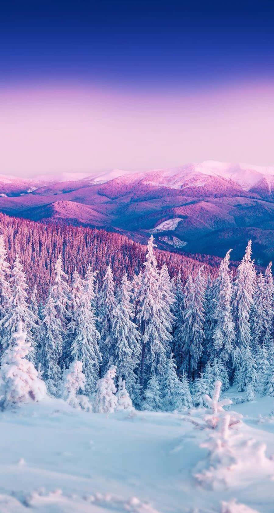 Cute Winter Aesthetic 桌布 壁紙 — 被雪覆蓋的松樹在遠山山脈上方夢幻般的紫色和藍色暮光天空下閃耀。
