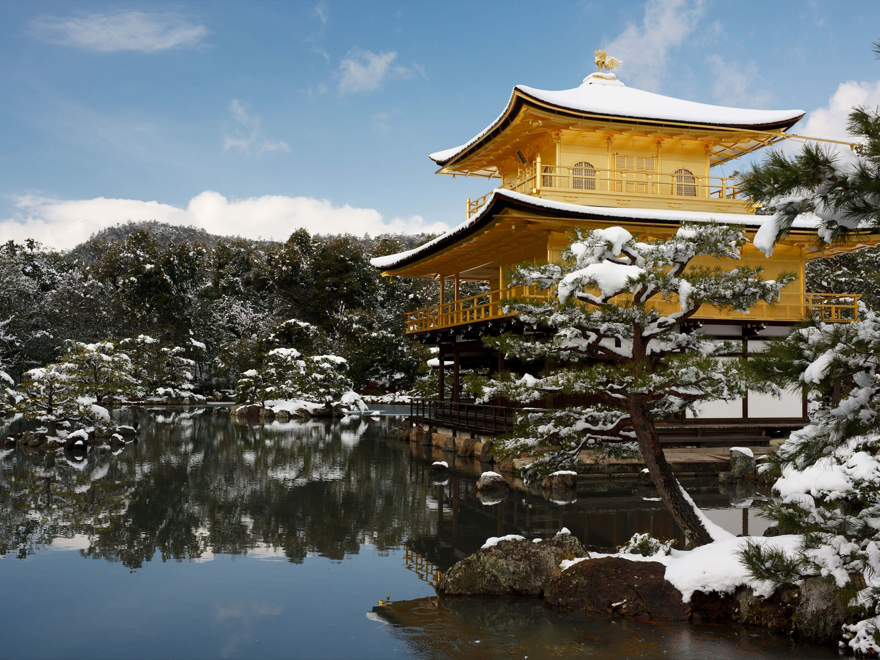 Japanese 桌布 壁紙 — 被雪覆蓋的金色亭閣寺廟，在晴朗的藍天下，平靜地倒映在一個被雪覆蓋的松樹環繞的寧靜池塘中。