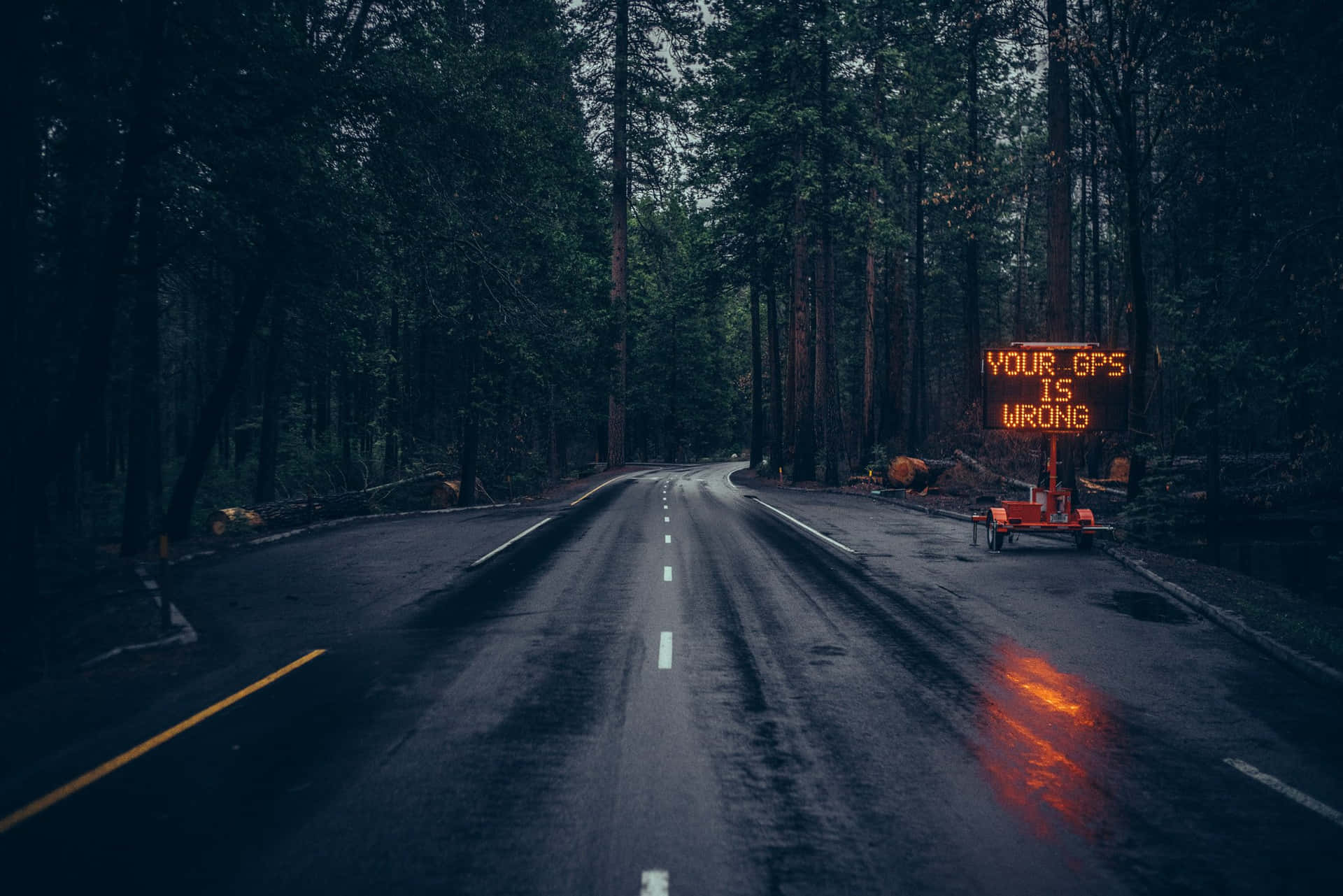 一條黑暗的森林道路，有一個發光的橙色標誌寫著你的GPS錯了。