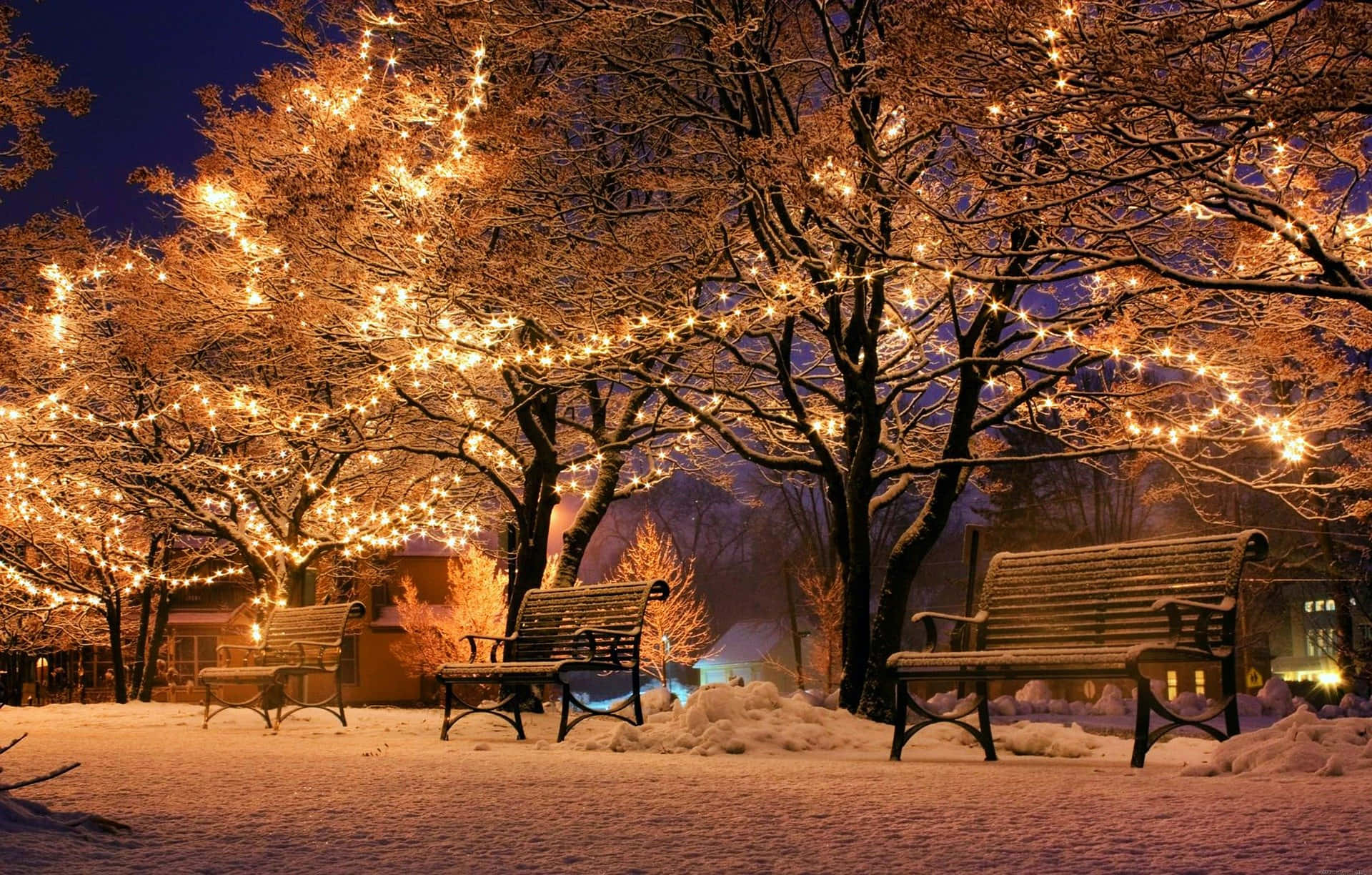 白雪覆蓋的公園長椅與閃爍燈串的冬夜景象。