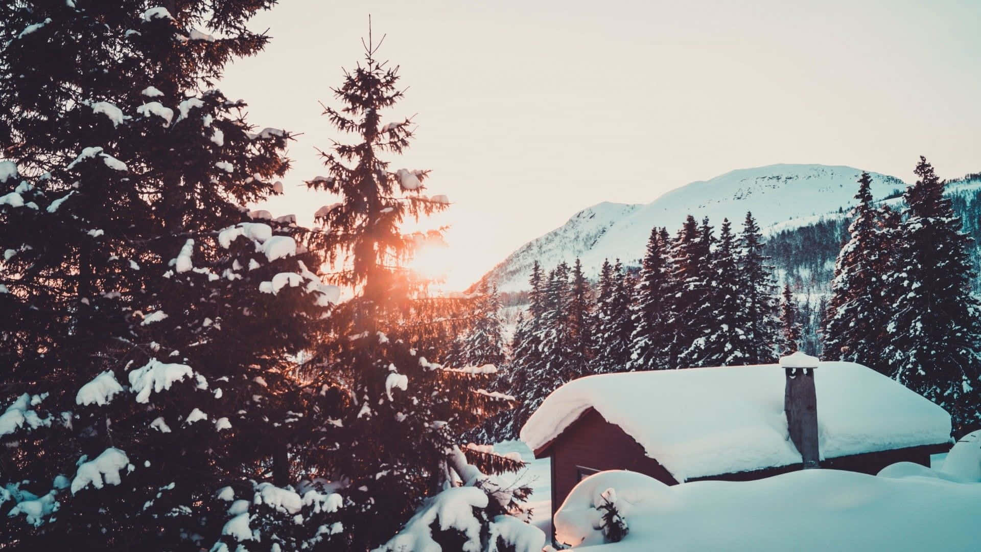 冬日森林中的雪覆蓋小屋與日落