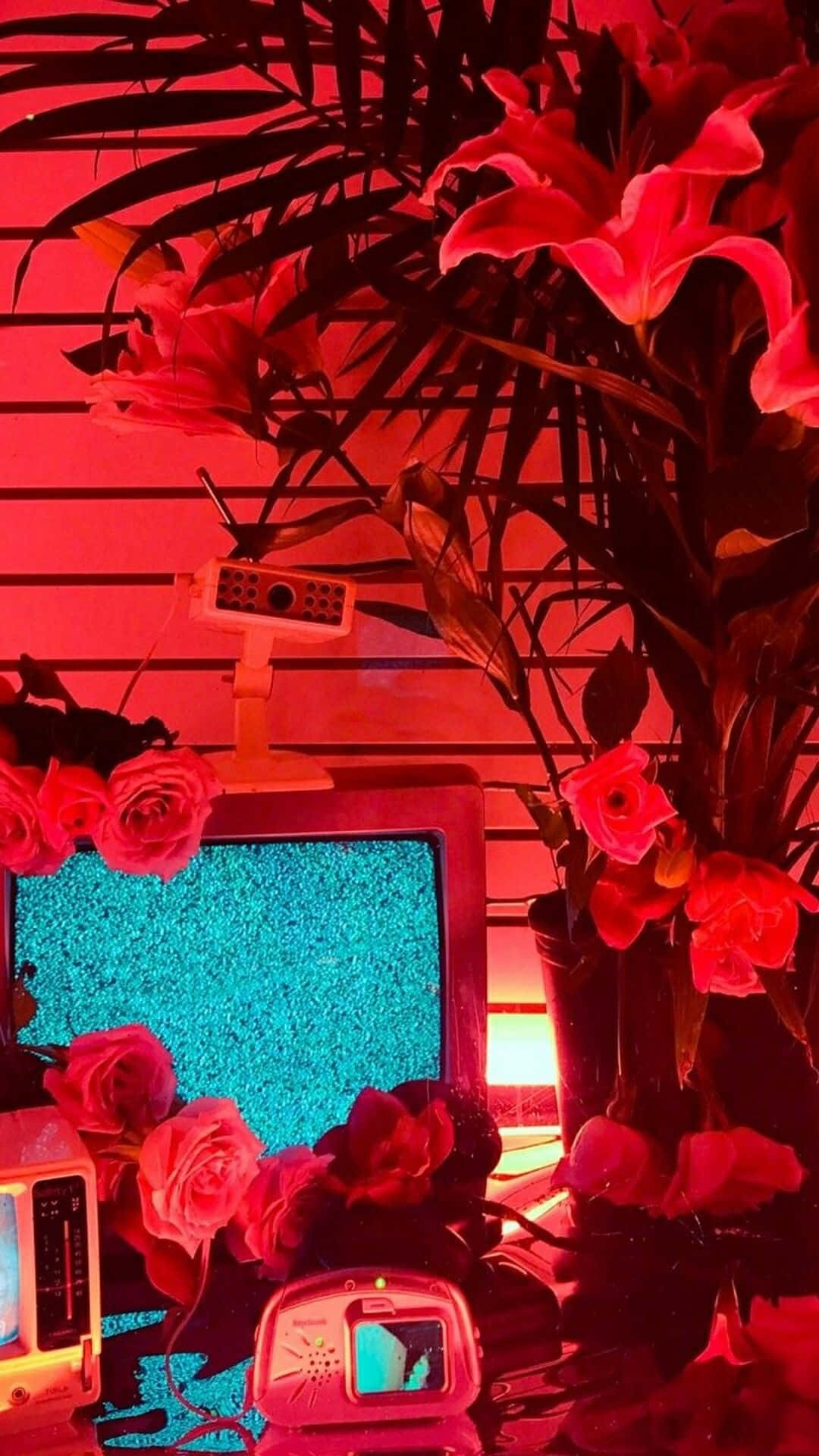 復古電視，螢幕顯示雪花，被紅花和棕櫚葉環繞，處於紅光下。