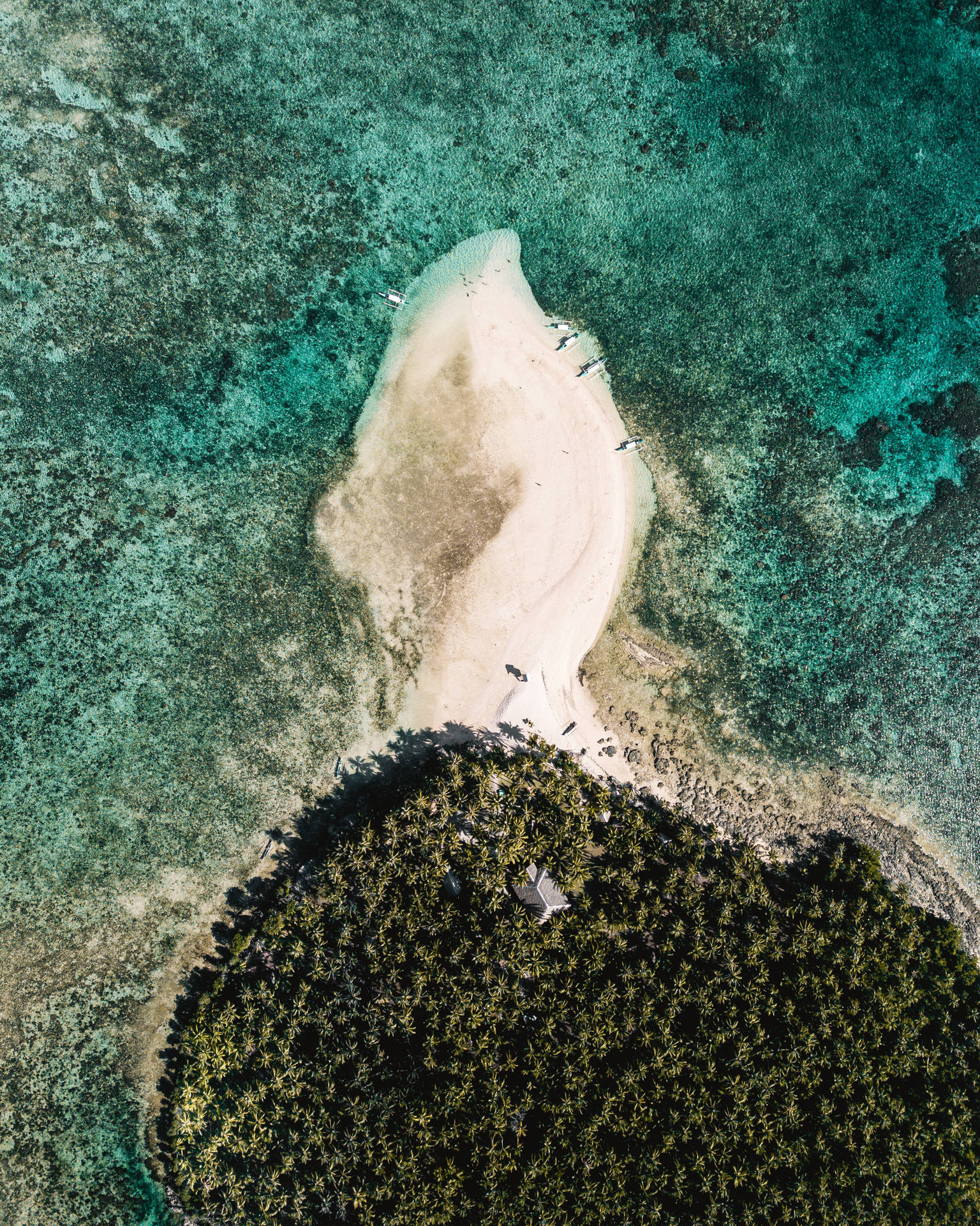 熱帶島嶼的俯瞰圖，有沙灘和叢林