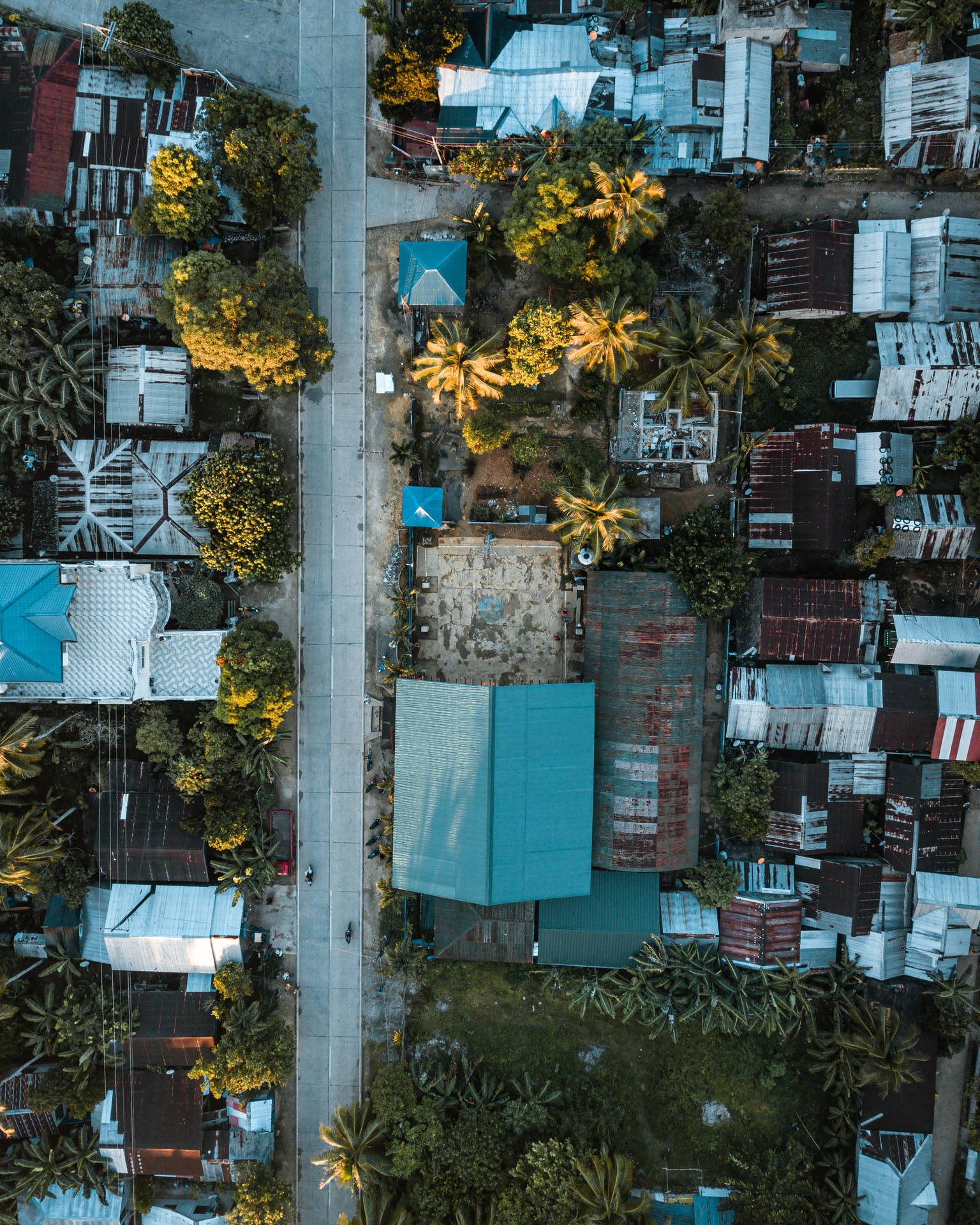 從高空俯瞰一條熱帶城市街道，兩旁種滿棕櫚樹，屋頂色彩繽紛，正值日落時分。
