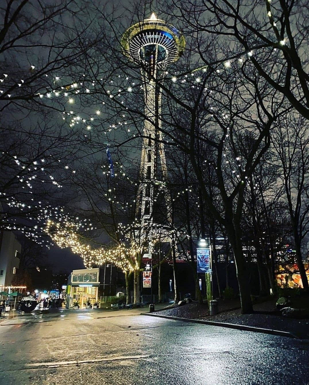 太空針塔夜景，帶有串燈和濕漉漉的路面