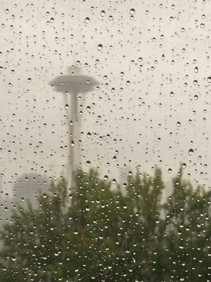 窗戶上的雨滴，透過薄霧可見太空針塔和樹木。