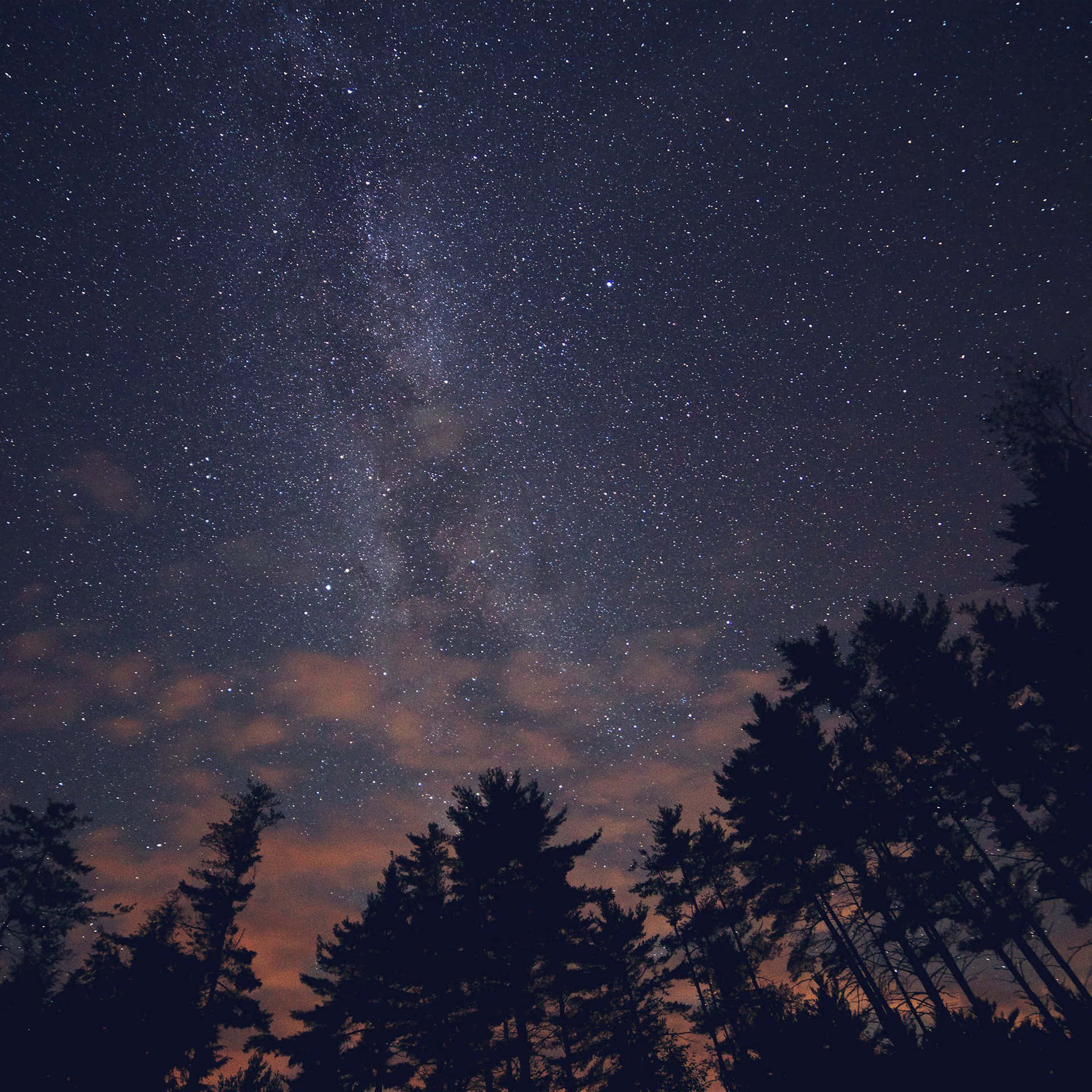 在星空下、銀河和發光雲彩中的剪影松樹。