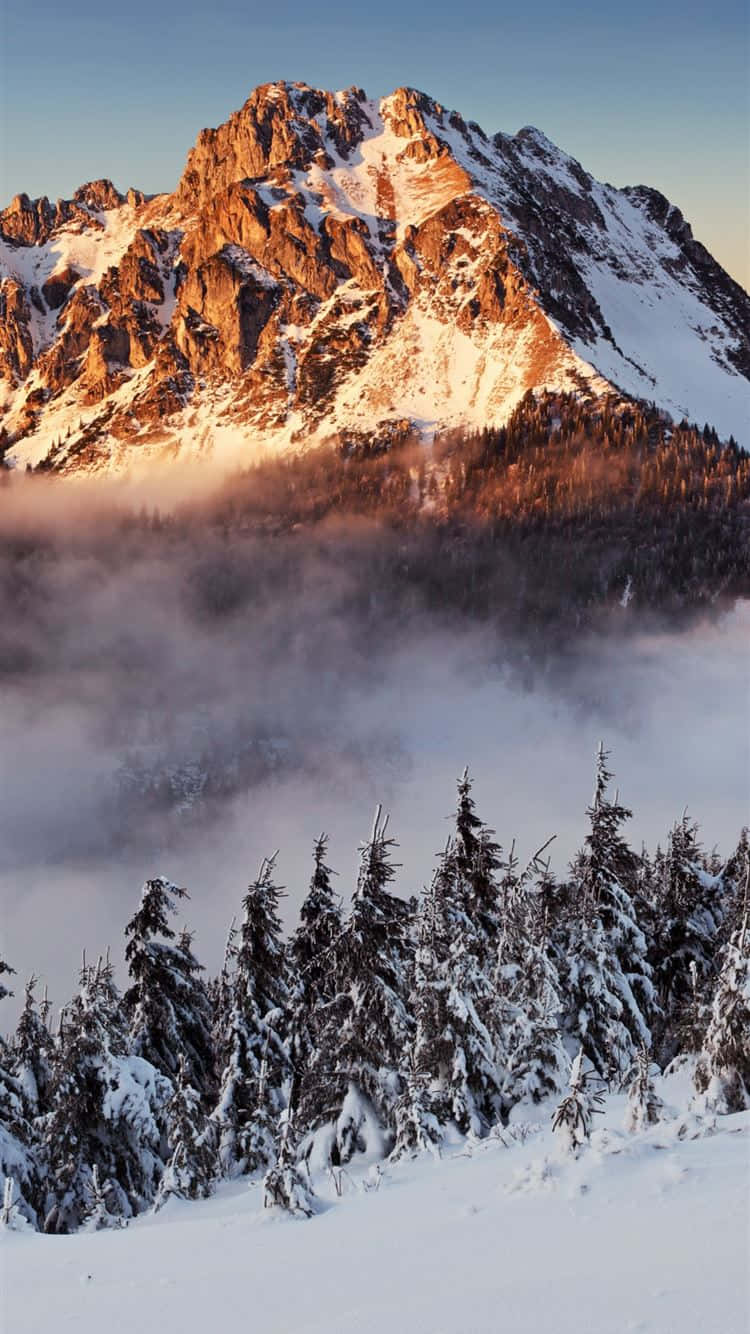 白雪覆蓋的山峰在日出光芒中閃耀，位於霧氣森林之上。