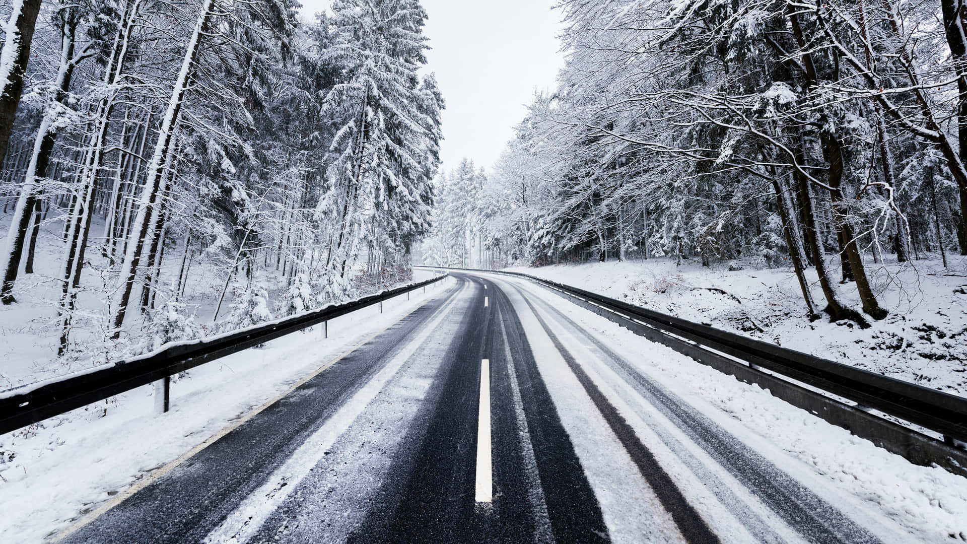 覆雪冬季景觀 壁紙 — 一條被雪覆蓋的道路蜿蜒穿過茂密的冬季森林，高大的常綠樹被白雪覆蓋。
