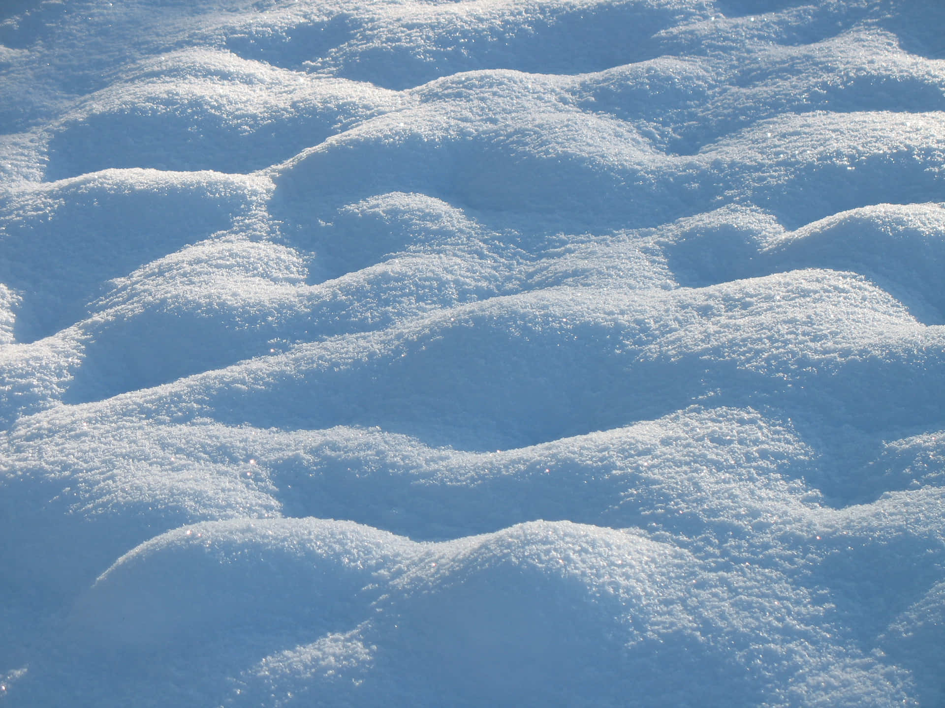 在明亮陽光下投下藍色陰影的起伏雪堆