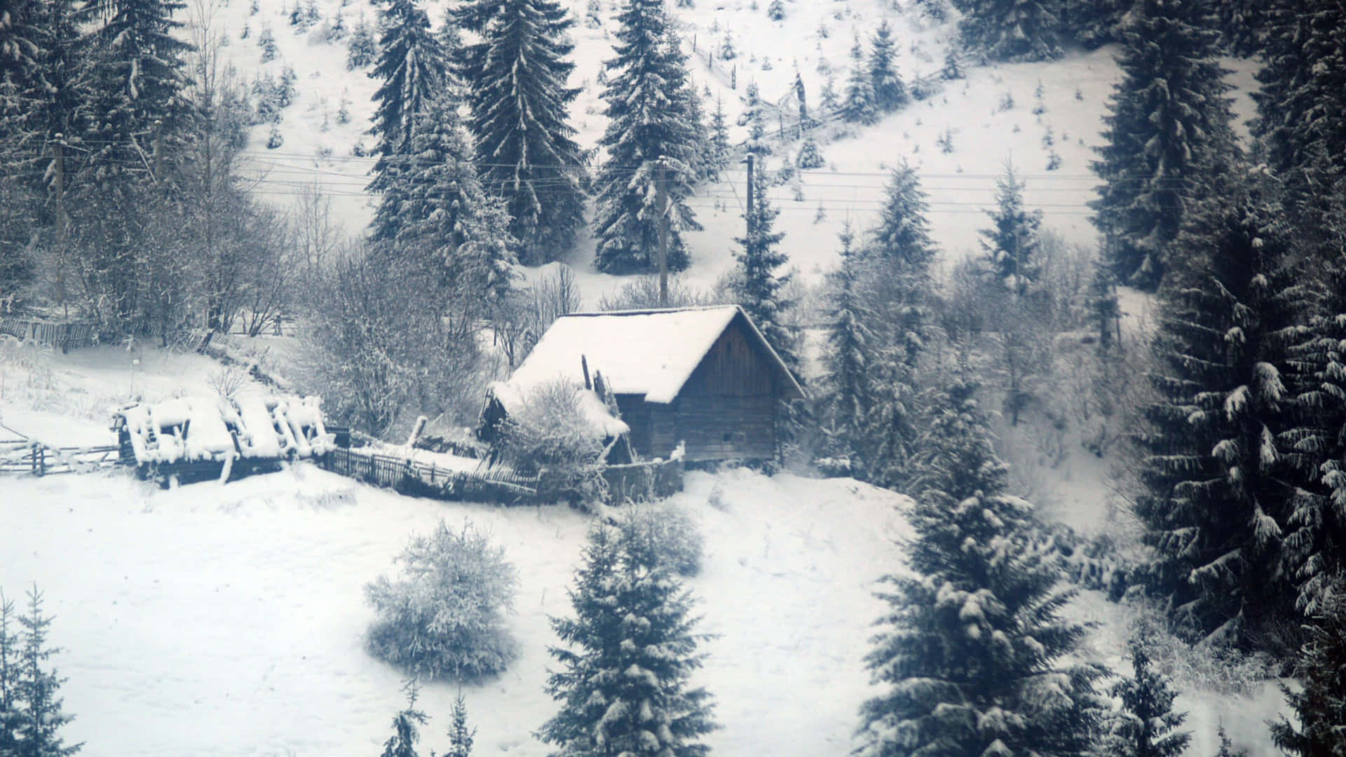 覆雪山丘與樹林的冬日風景 壁紙 — 一間被雪覆蓋的木屋，坐落在寧靜冬日山坡的常綠樹叢中。