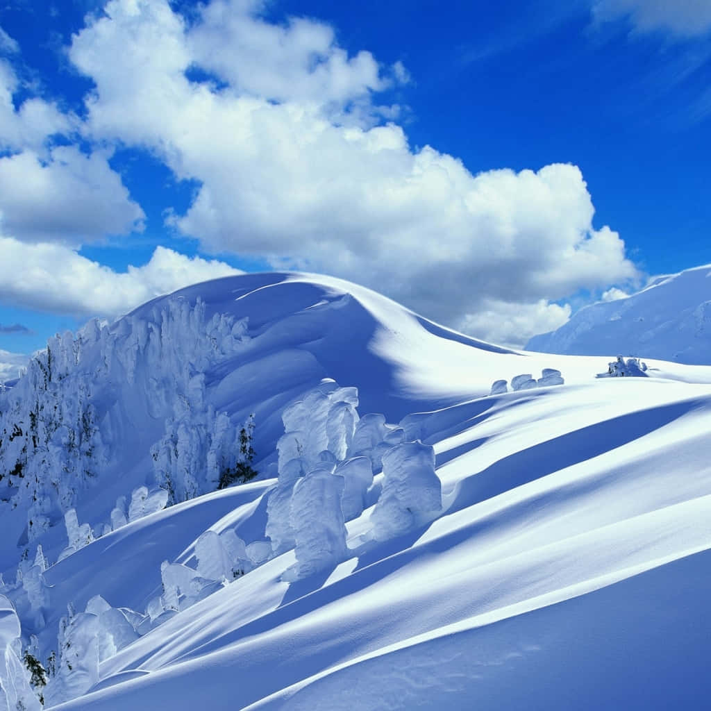 雪山的風景，有樹木和藍天白雲。