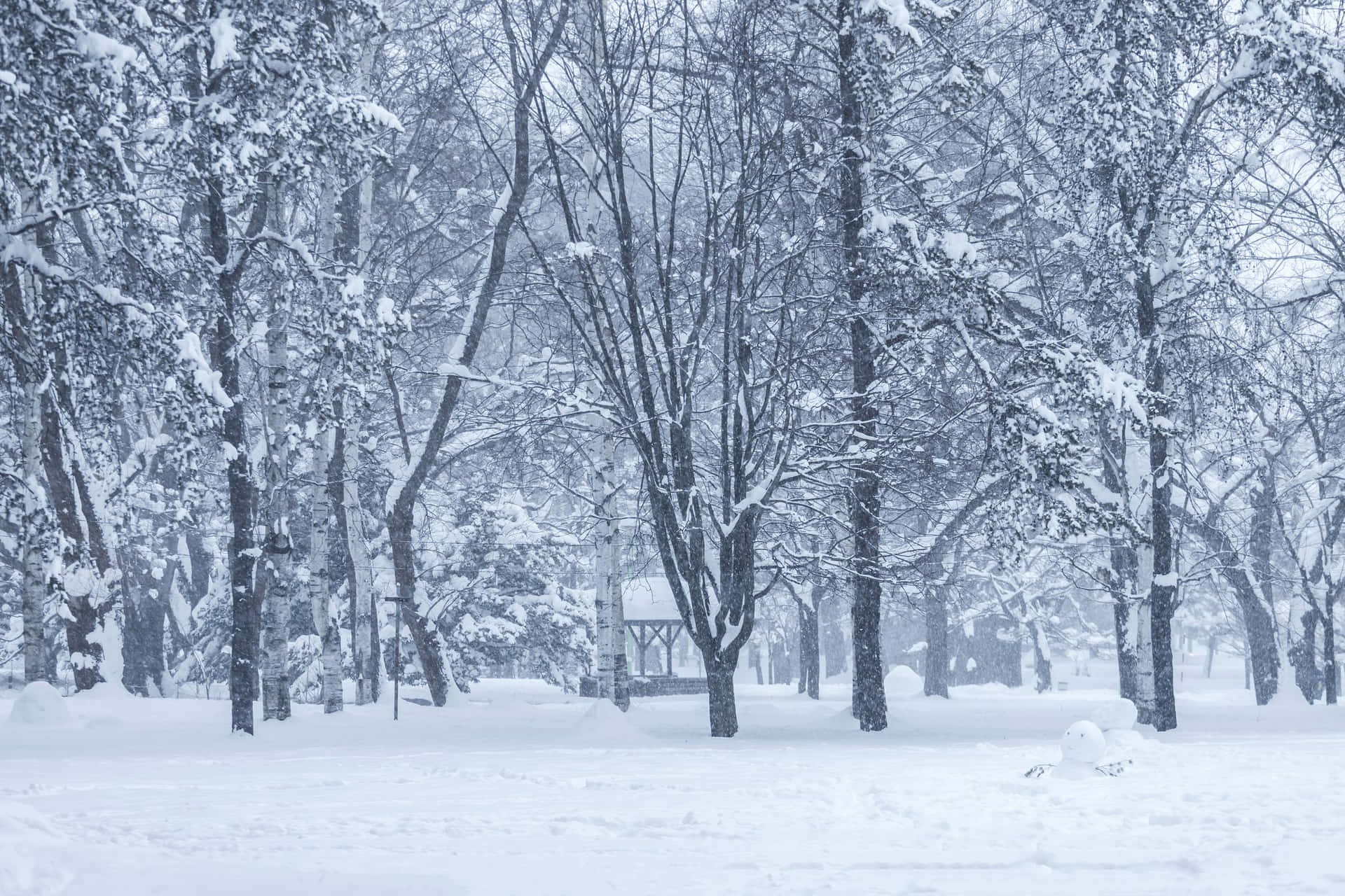 積雪的森林小徑，遠處有一個涼亭。
