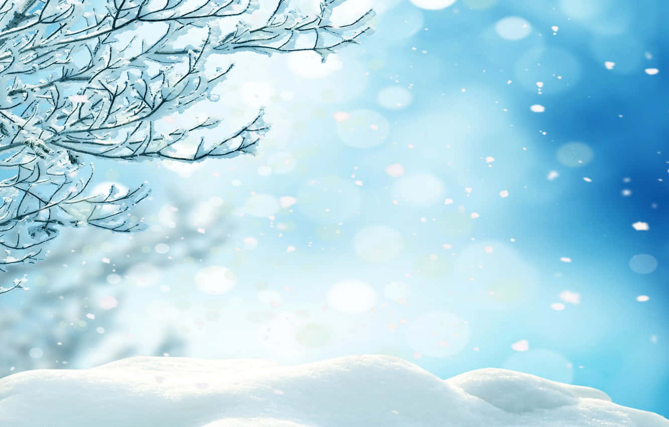 覆雪樹木與藍天背景 壁紙 — 白雪覆蓋的樹枝框住柔和的藍天，飄落的雪花和散景燈光。