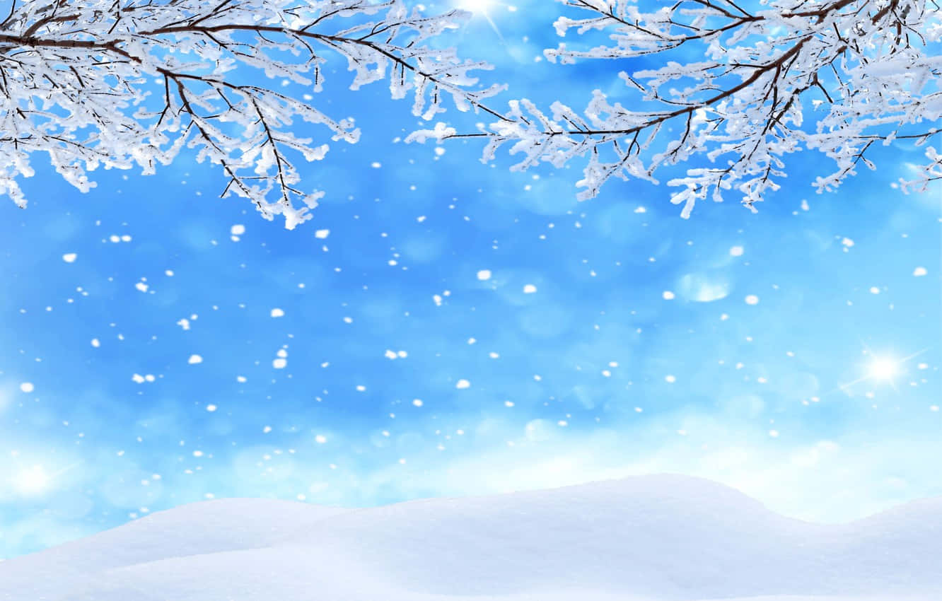覆雪樹木與雪花飄落 壁紙 — 白雪覆蓋的樹枝框住了一片明亮的藍天，雪花飄落，陽光灑在雪丘上。