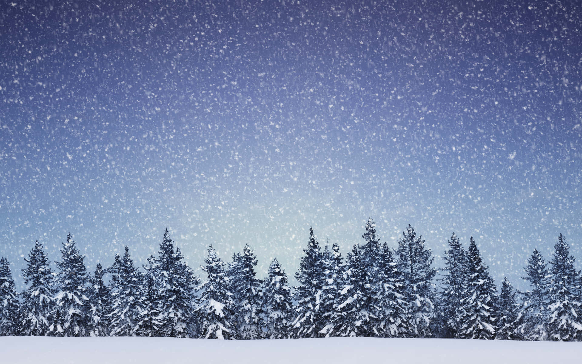 覆雪群山的壯麗風景 壁紙 — 雪花在深藍色的暮色天空中輕輕飄動，覆蓋在積雪的松樹林之上。