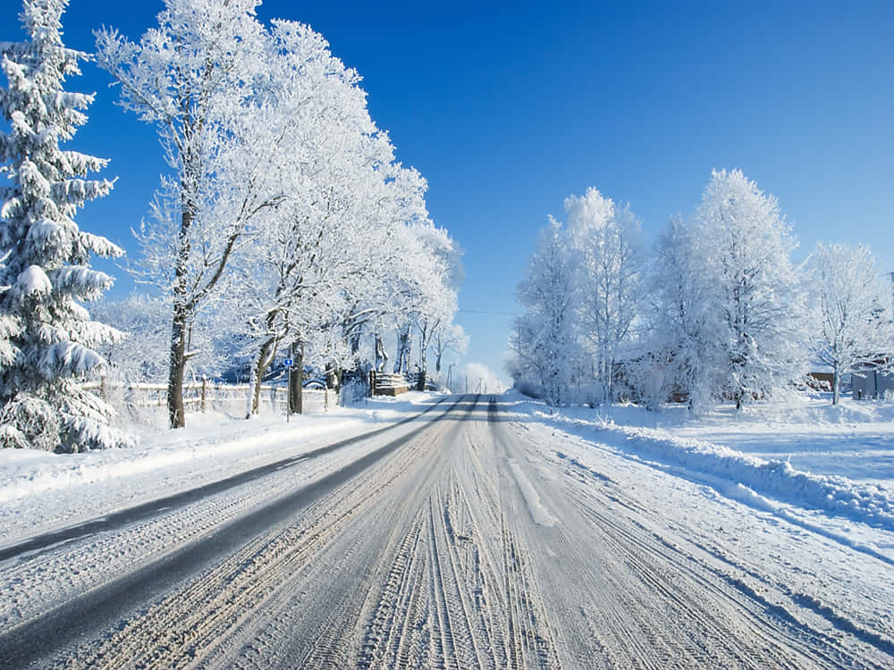 覆雪道路與雪樹藍天 壁紙 — 一條被雪覆蓋的道路延伸到遠方，兩旁是結霜的樹木，在清澈的藍色冬日天空下。