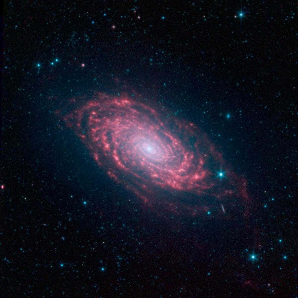 見證宇宙中壯麗星系的美景 壁紙 — 一個充滿活力的螺旋星系在深空中散發出粉紅色和紅色的色調，背景是藍白色的星場。