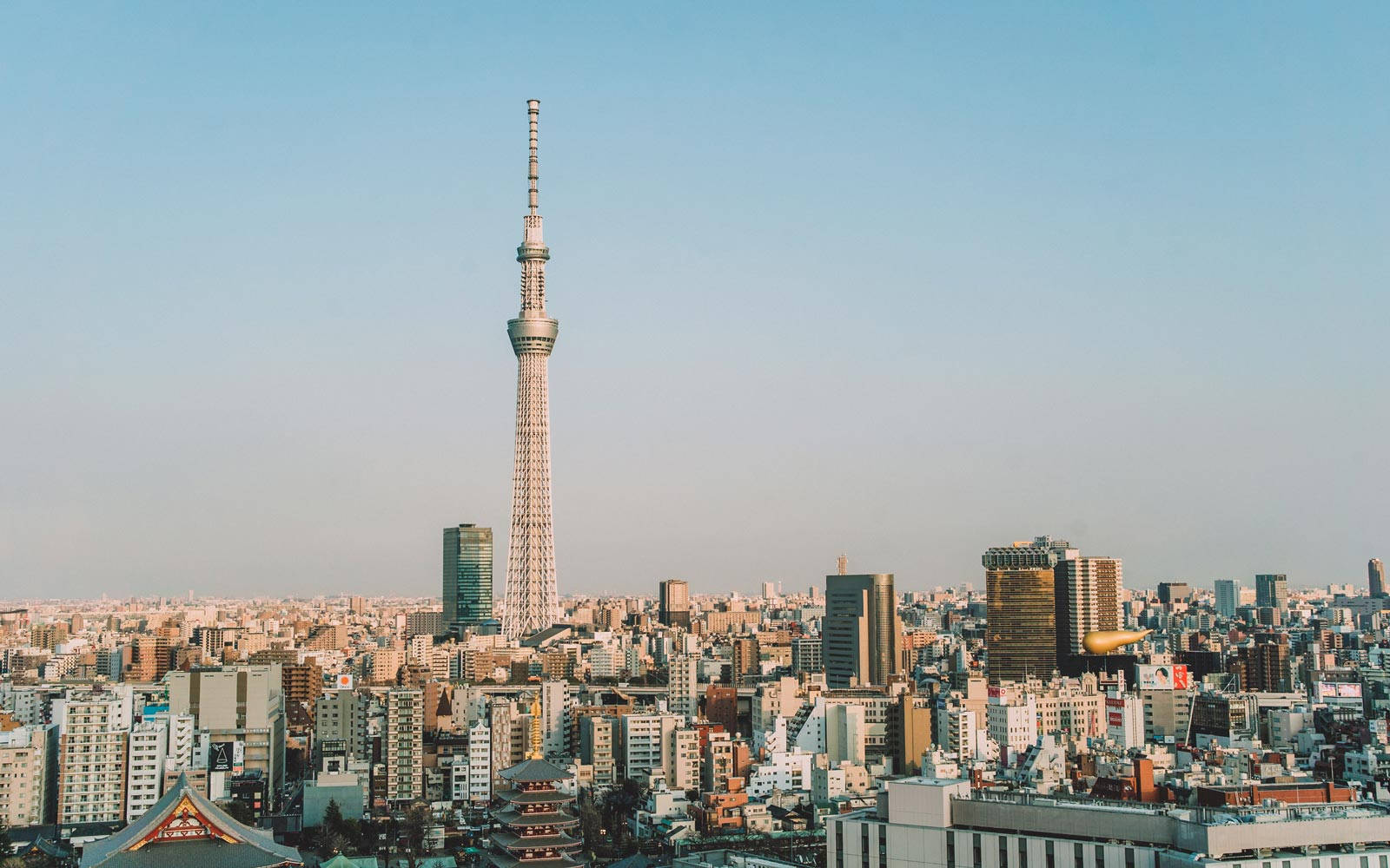 視覺亞洲城市東京 壁紙 — 東京晴空塔在晴朗的藍天和溫暖的黃金時段光線下，聳立在密集的城市天際線之上。