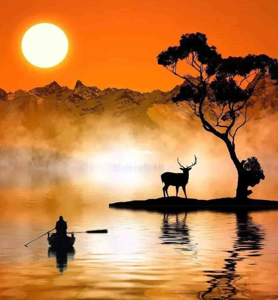 親密夕陽剪影頭像 壁紙 — 一個孤獨的漁夫在日落時分在霧氣瀰漫的湖上划船，一隻鹿站在小島上的樹旁形成剪影。
