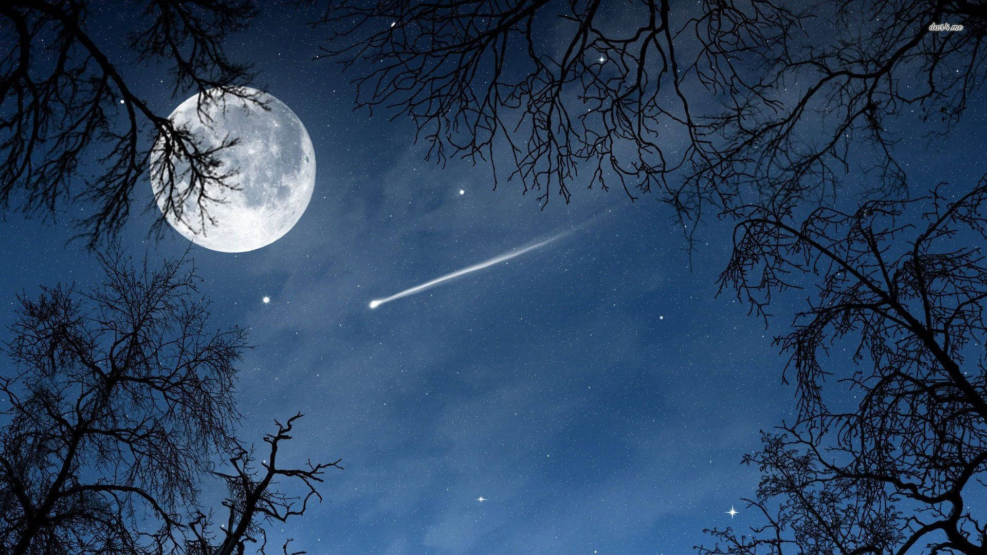 夜晚透過光禿禿的樹枝可見滿月和流星。