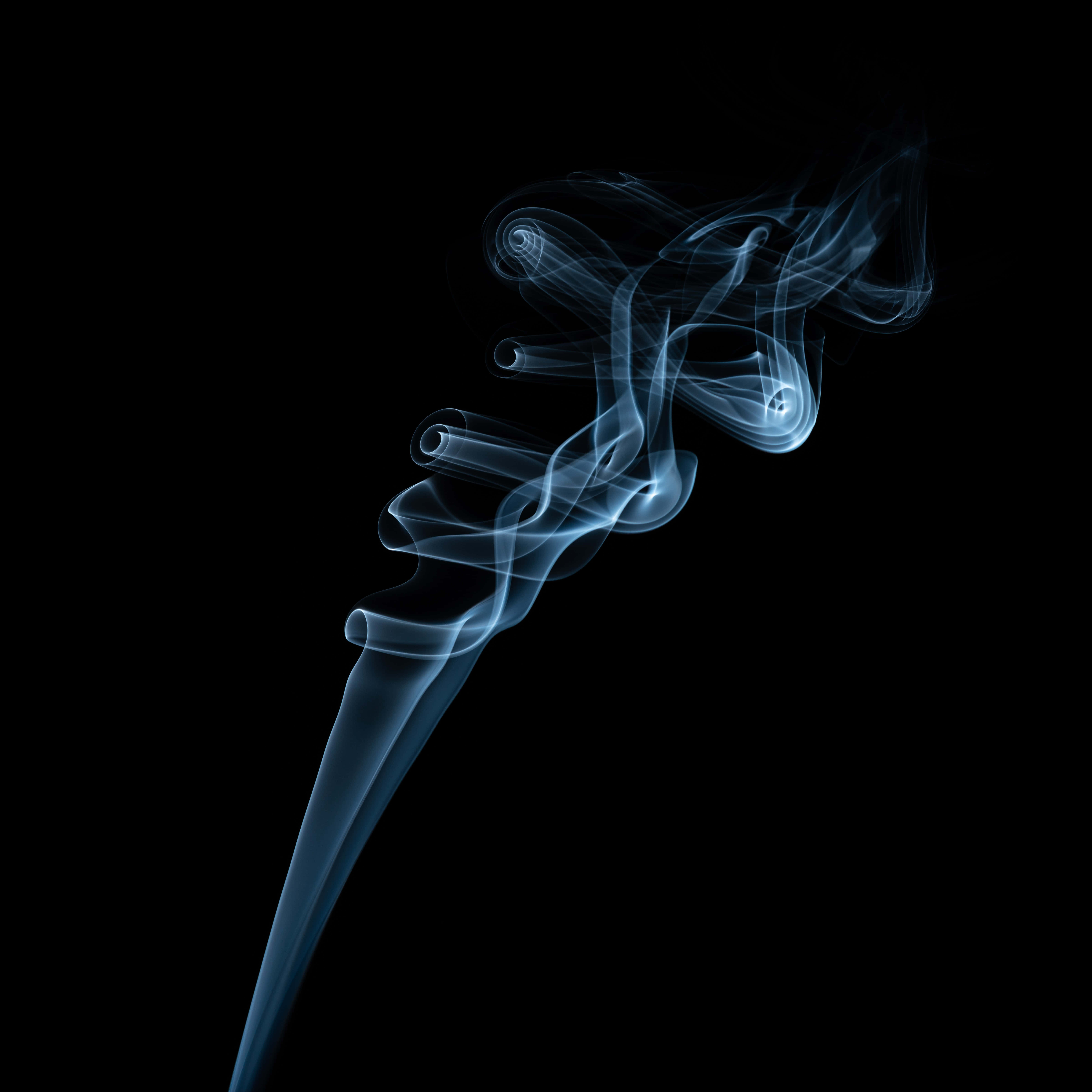 親身感受近在咫尺的森林煙霧寧靜 壁紙 — 空靈的藍色煙霧在純黑背景上優雅地盤旋，形成迷人的抽象形態。