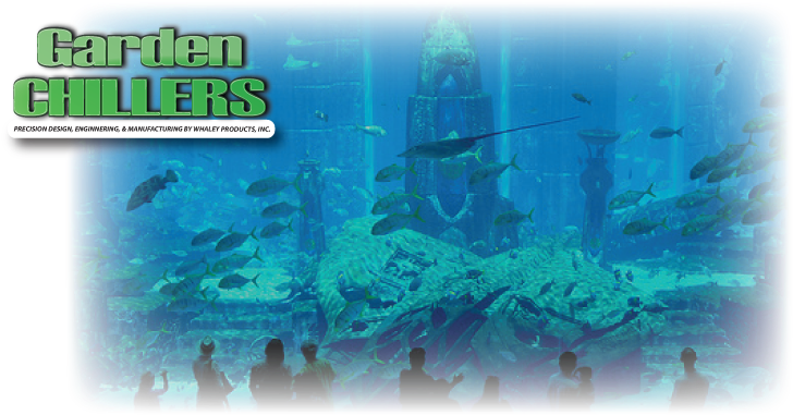 觀賞水族館中水下生物 壁紙 — 剪影般的訪客凝視著一個巨大的水族館，展示著魚群在藍色光芒中圍繞著沉沒的廢墟游動。