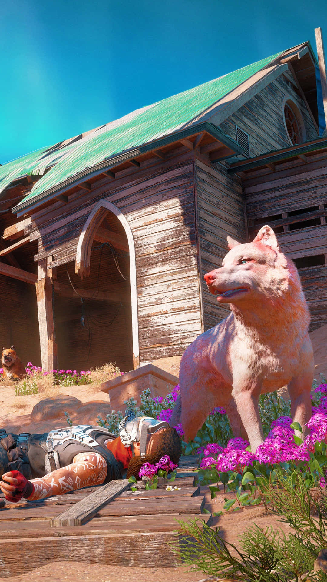 角色躺臥背景：Far Cry New Dawn Pixel 3 壁紙 — 一隻粉紅色的狼警覺地站在一個倒下的盔甲人物旁邊，前面是風化的木穀倉，背景是清澈的藍天。