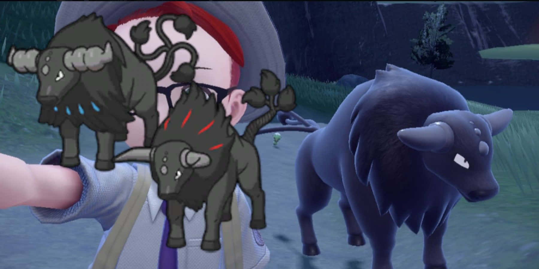 訓練家與 Paldean Tauros 自拍 壁紙 — 一個戴灰色帽子的角色在雨中森林裡抱著兩隻黑色小水牛，旁邊站著一隻較大的水牛。