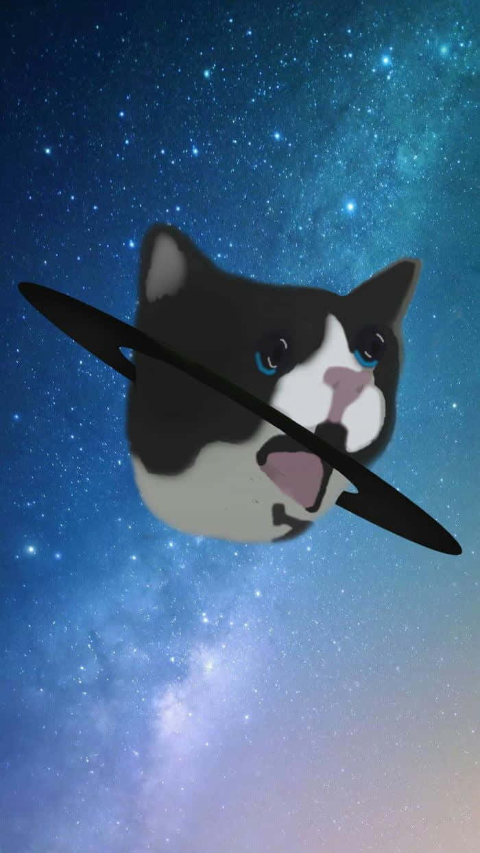 詛咒貓太空星系圖 壁紙 — 一隻藍眼睛的卡通貓在繁星點點的星系中漂浮，頭上有一個像行星一樣的黑色環。