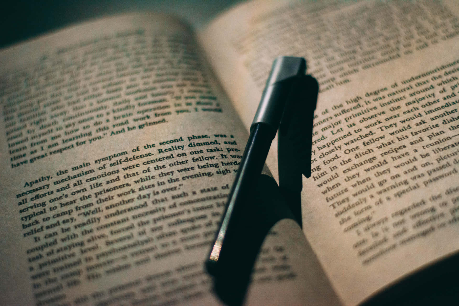 一支黑色筆放在打開的書本上，書上有印刷文字。