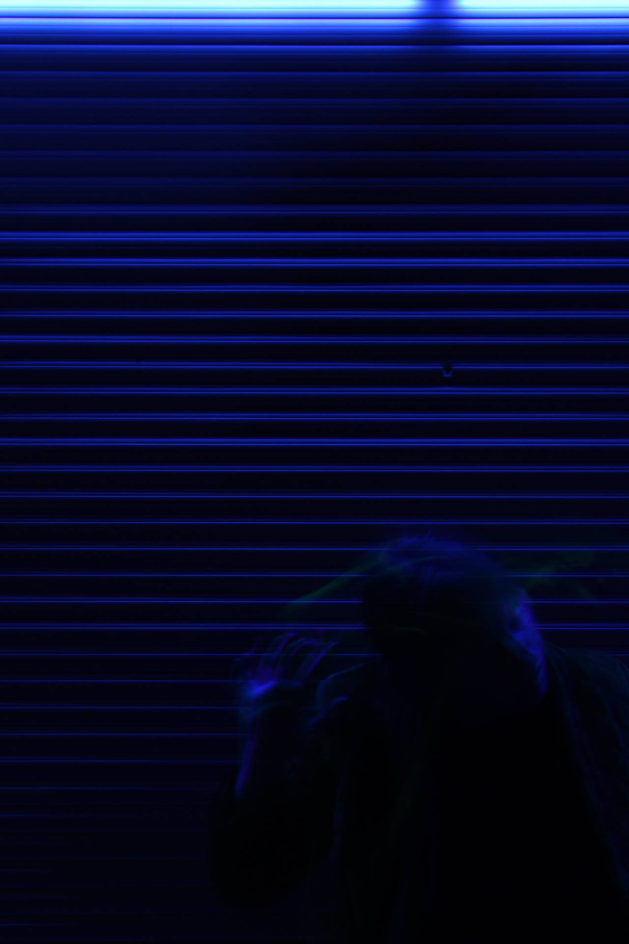 夜晚在藍色照亮的金屬百葉窗前的人影輪廓。