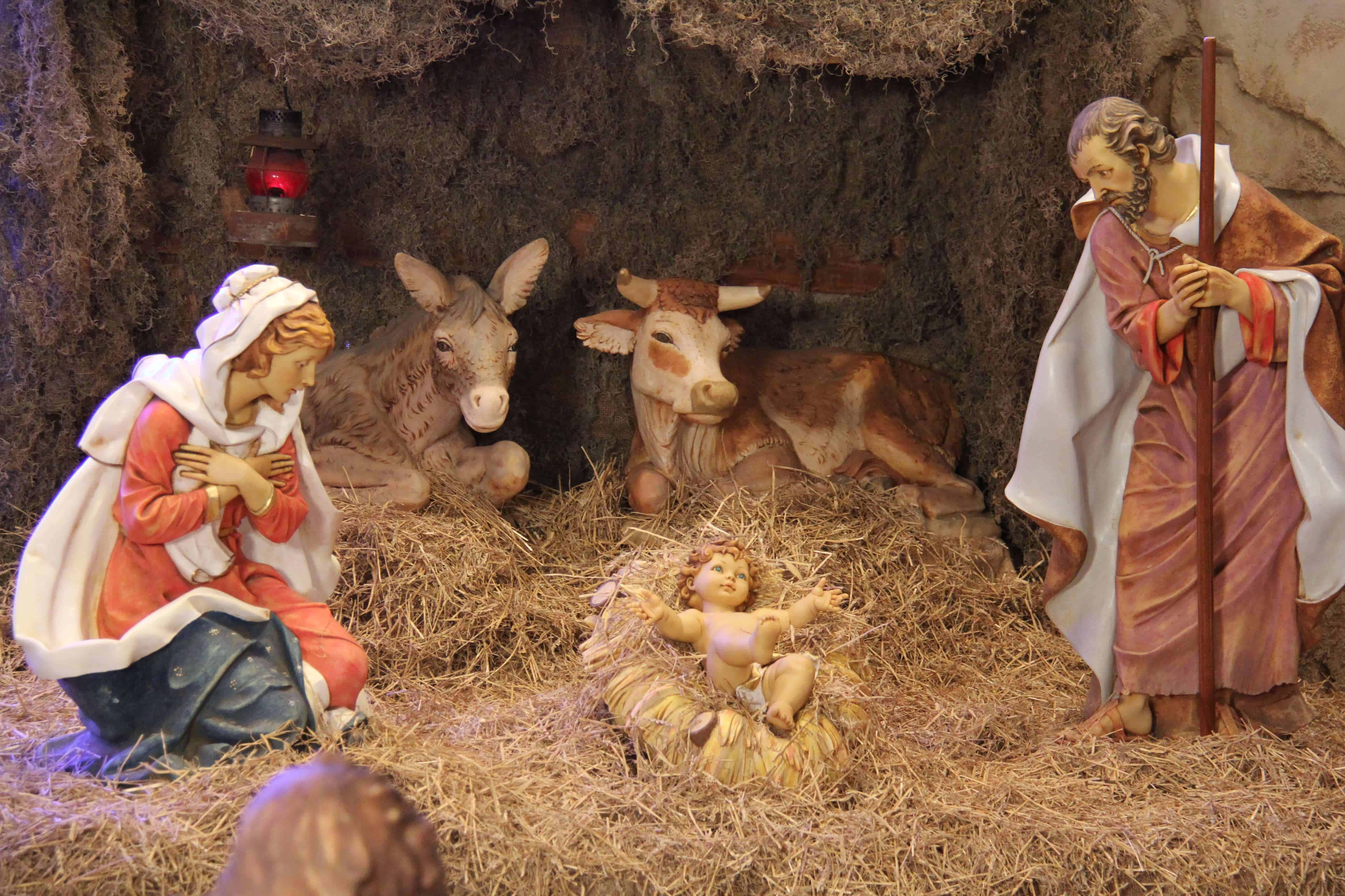 Nativity Scene 桌布 壁紙 — 詳細的耶穌誕生場景，馬利亞跪著祈禱，約瑟手持杖站著，嬰兒耶穌在馬槽裡，驢和牛在附近，溫暖的燈籠光照耀著。