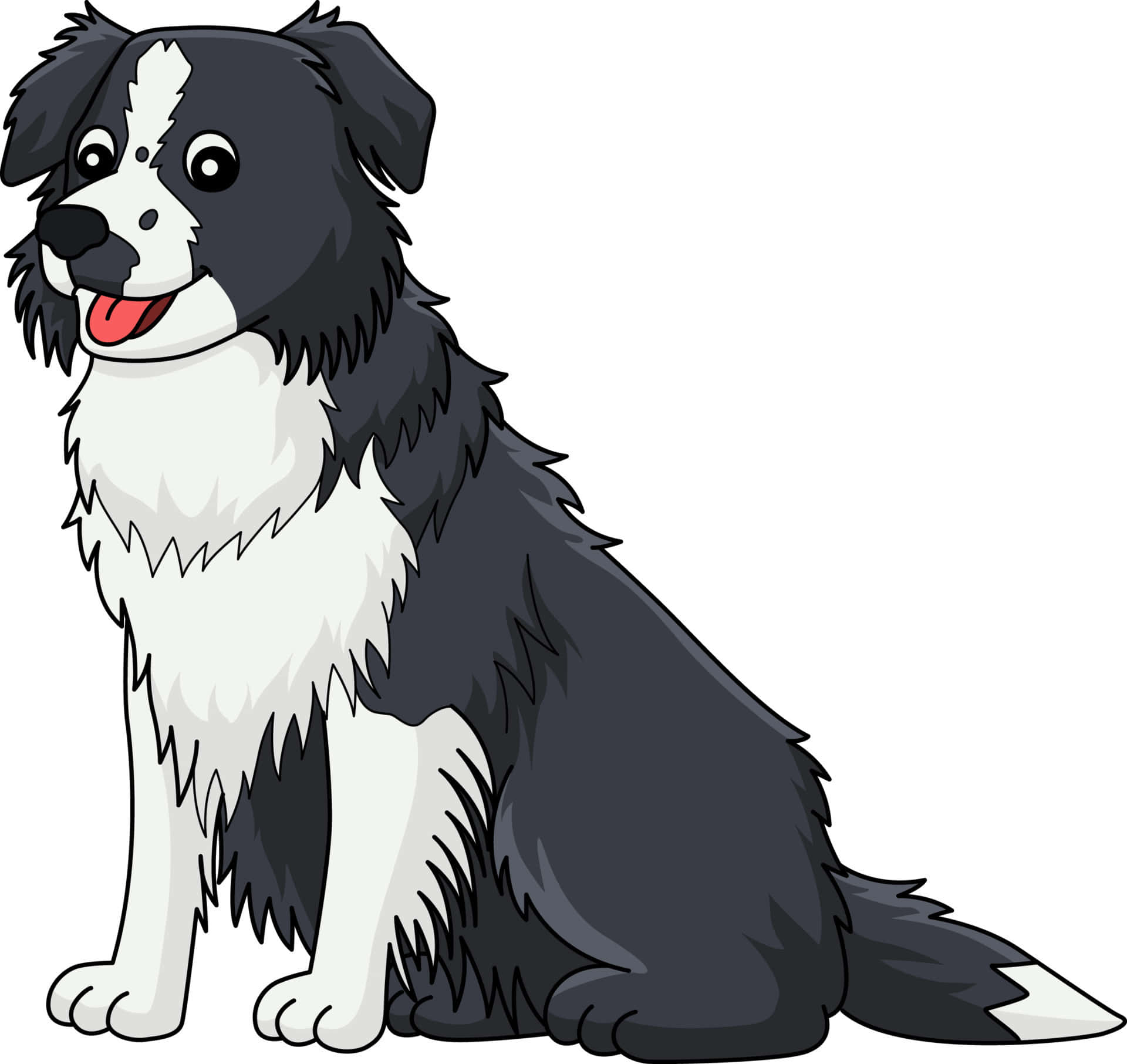 認識Donny，帥氣的邊境牧羊犬 壁紙 — 一隻開心的黑白邊境牧羊犬坐著伸出舌頭，背景是純白色。
