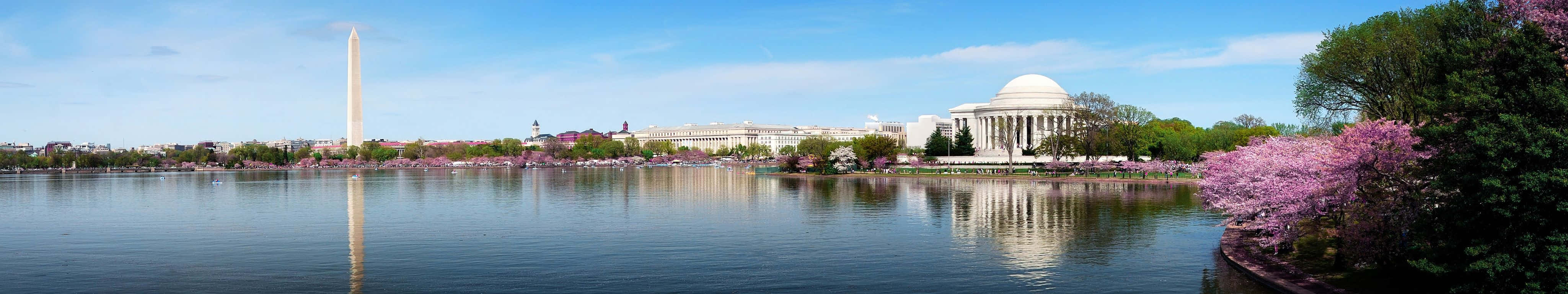 請勿凝視這令人著迷的雲海 壁紙 — 華盛頓特區潮汐湖的 panoramic 景色，櫻花盛開，華盛頓紀念碑在晴朗的藍天下巍然聳立。